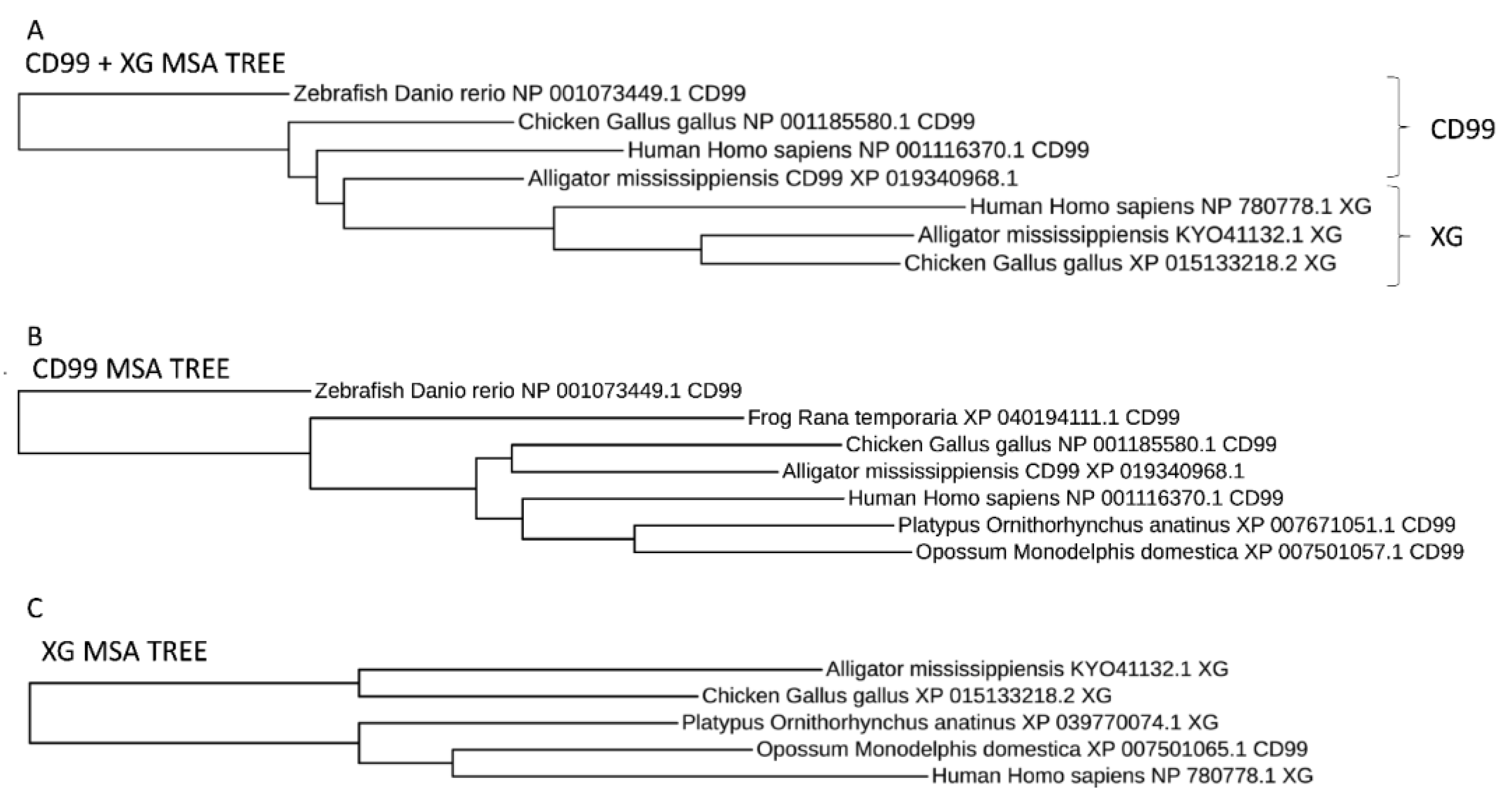 Genes 14 00402 g003 Genes 14 00402 g003