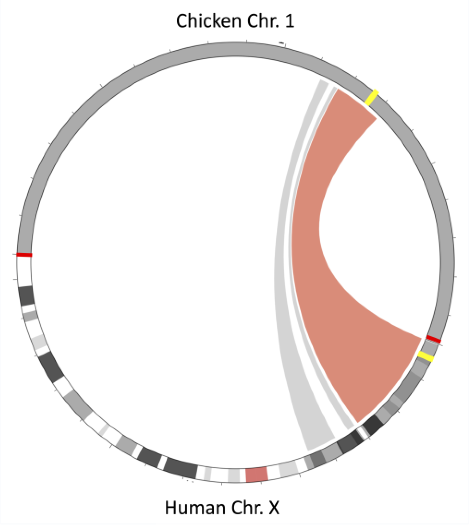 Genes 14 00402 g005 Genes 14 00402 g005