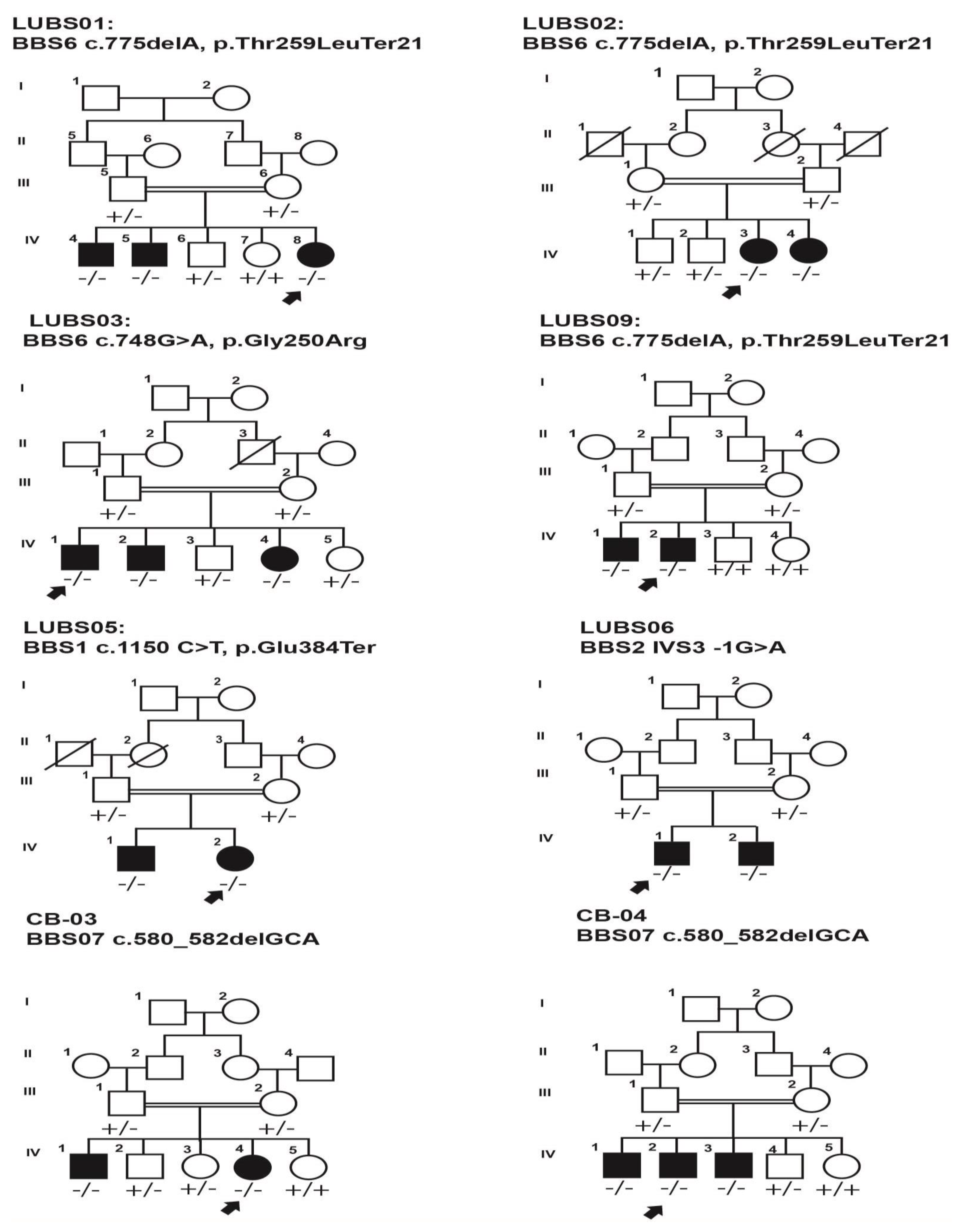 Genes 14 00404 g001 Genes 14 00404 g001