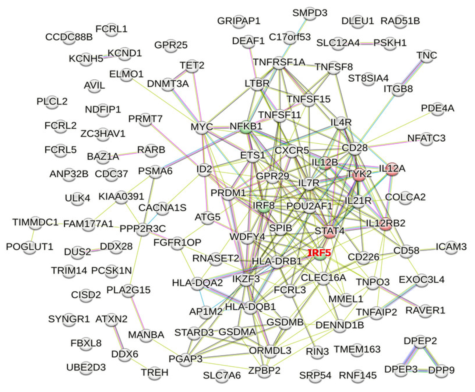 Genes 14 00405 g002 Genes 14 00405 g002