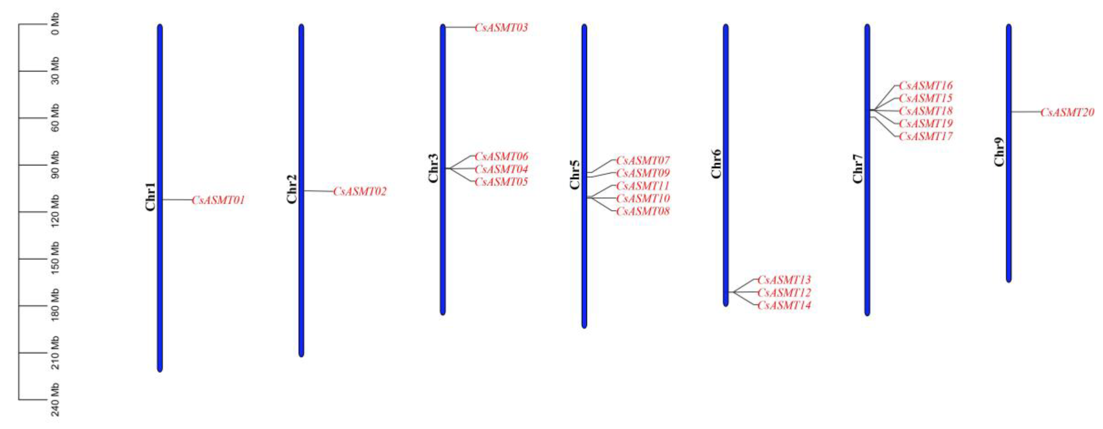 Genes 14 00409 g003 Genes 14 00409 g003