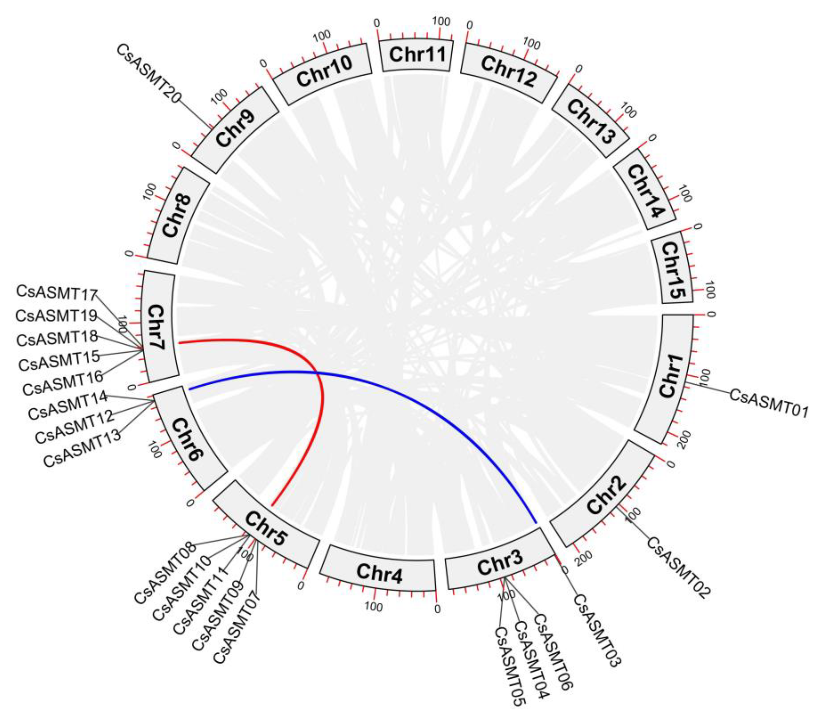 Genes 14 00409 g004 Genes 14 00409 g004