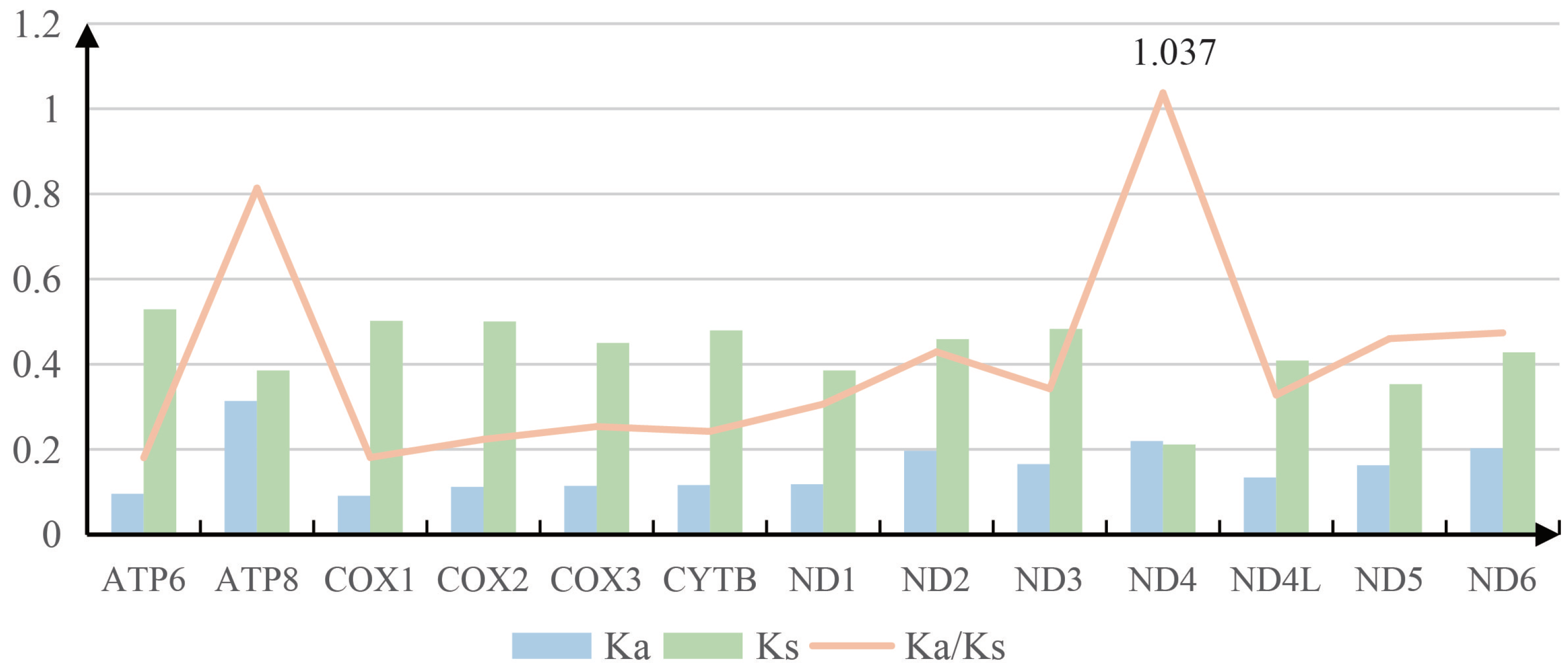 Genes 14 00414 g003 Genes 14 00414 g003