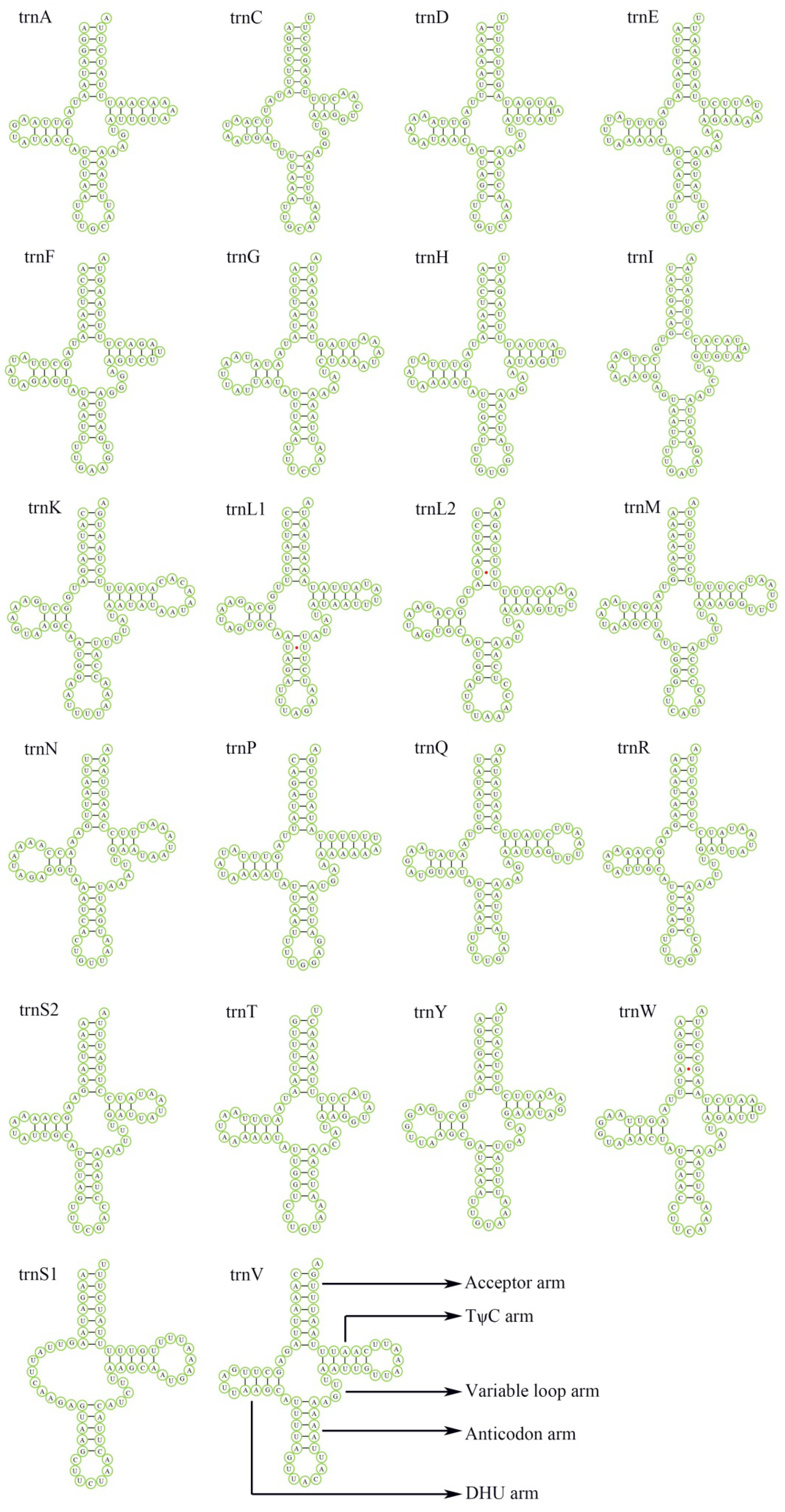 Genes 14 00414 g004 Genes 14 00414 g004