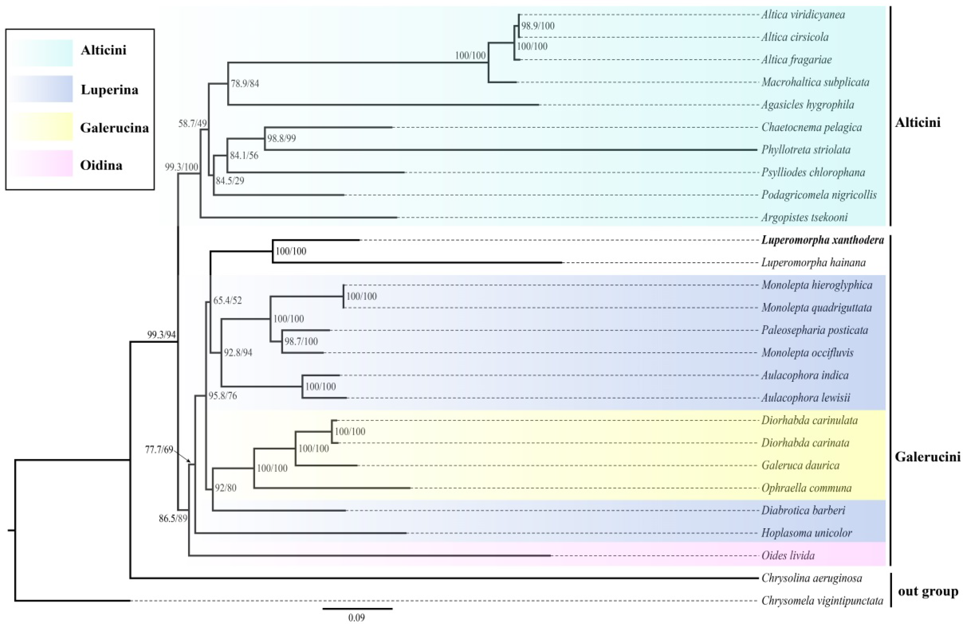 Genes 14 00414 g006 Genes 14 00414 g006