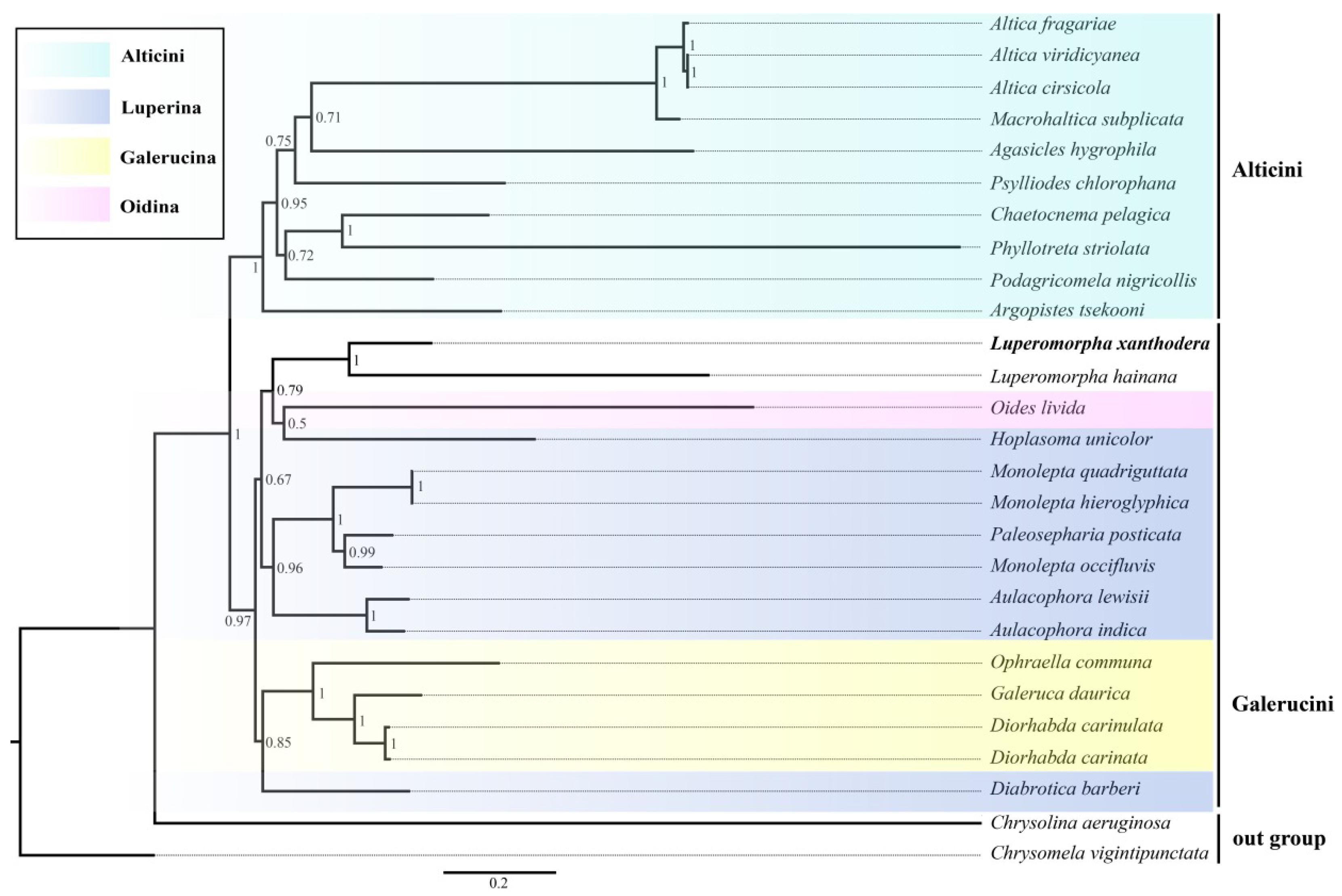 Genes 14 00414 g007 Genes 14 00414 g007