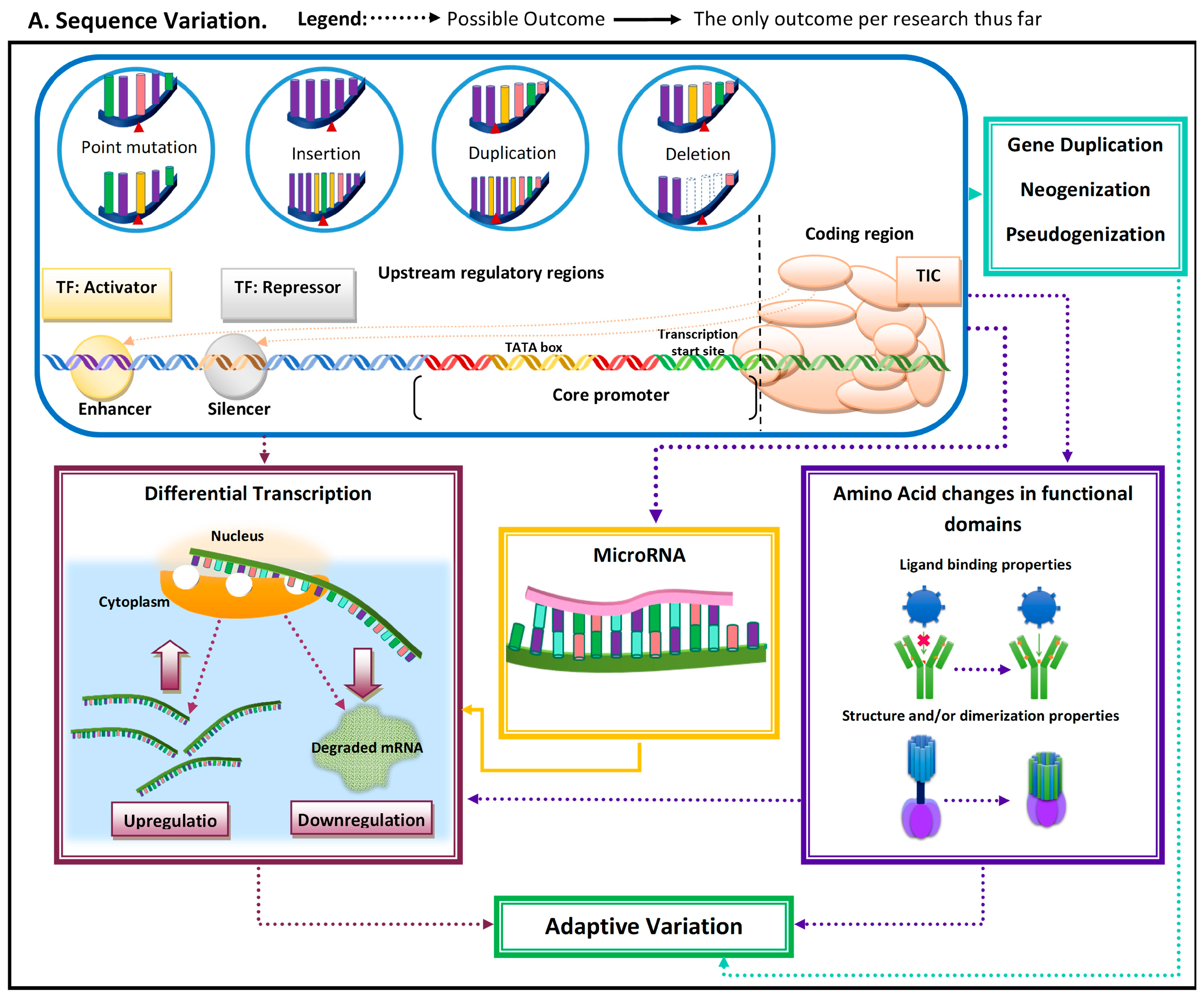 Genes 14 00416 g001a Genes 14 00416 g001a