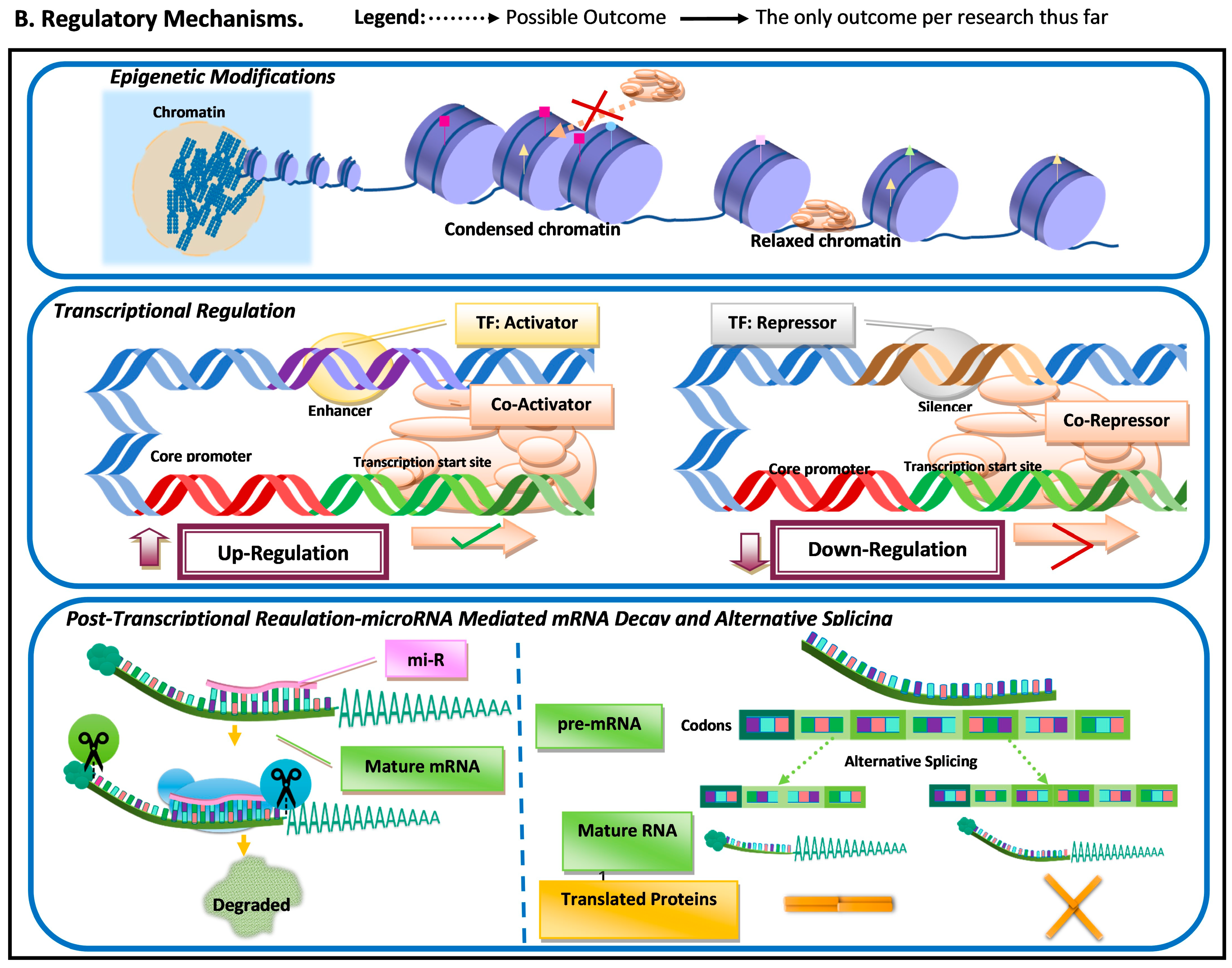 Genes 14 00416 g001b Genes 14 00416 g001b
