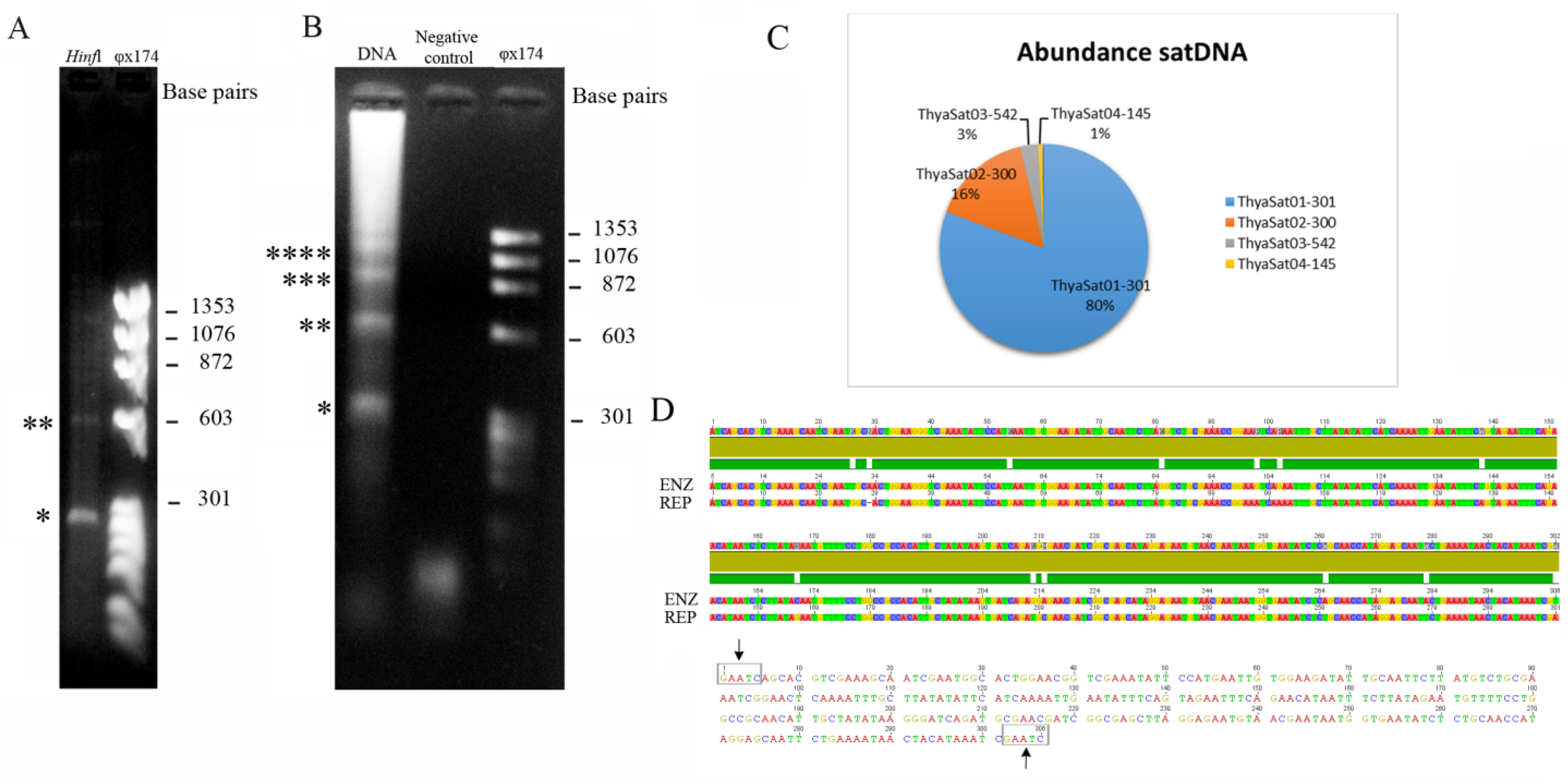Genes 14 00418 g001 Genes 14 00418 g001