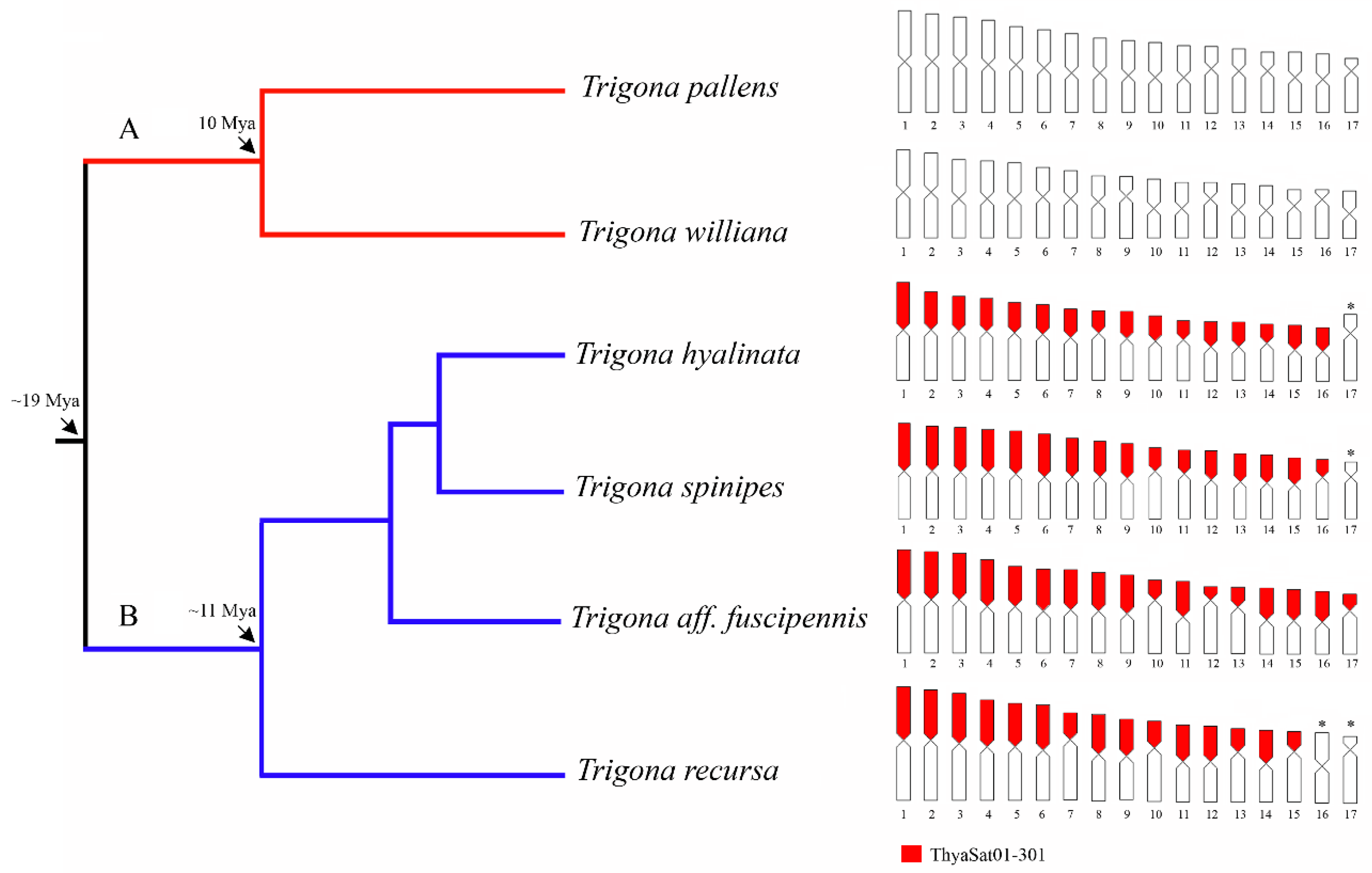 Genes 14 00418 g004 Genes 14 00418 g004