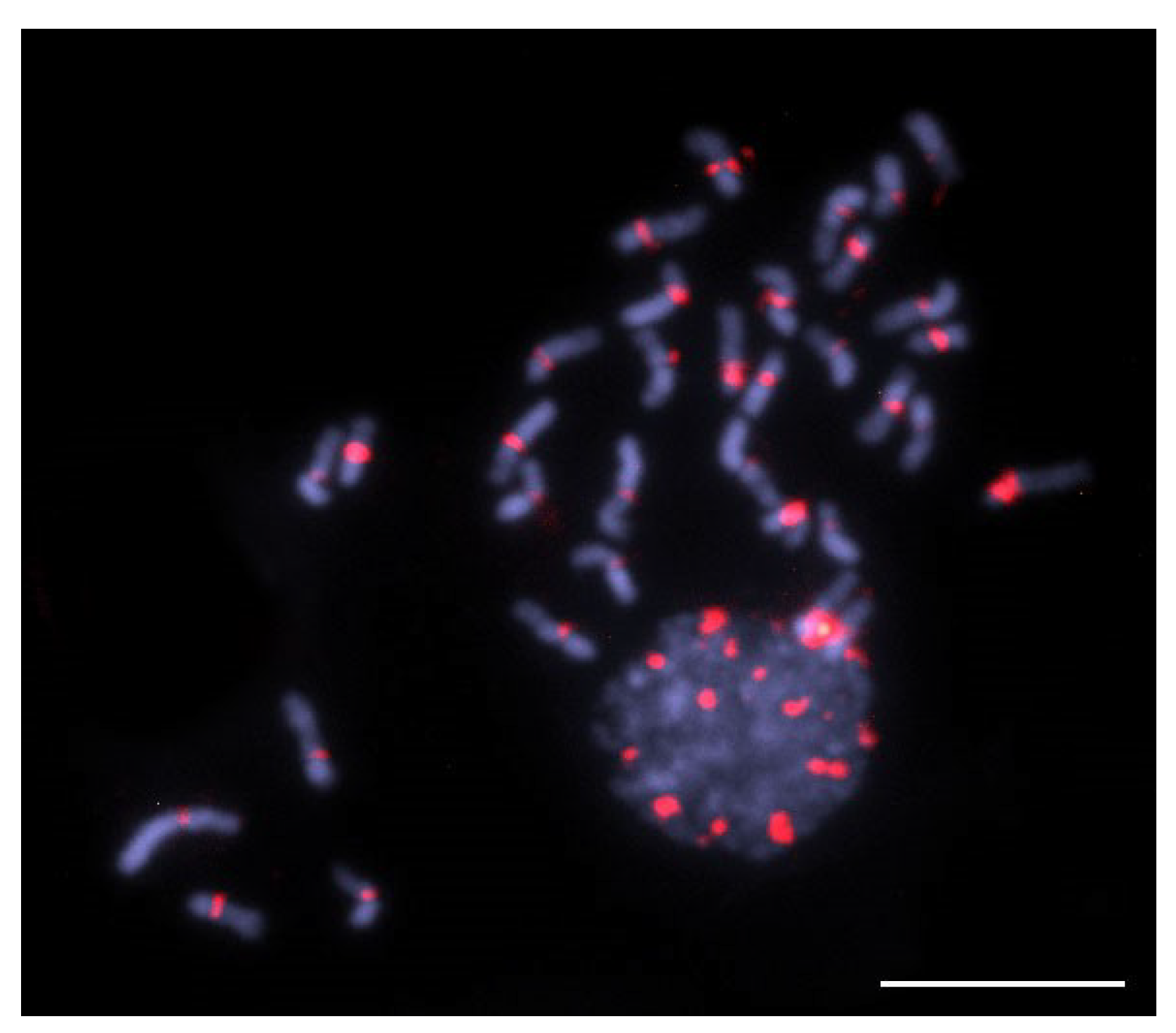 Genes 14 00418 g005 Genes 14 00418 g005