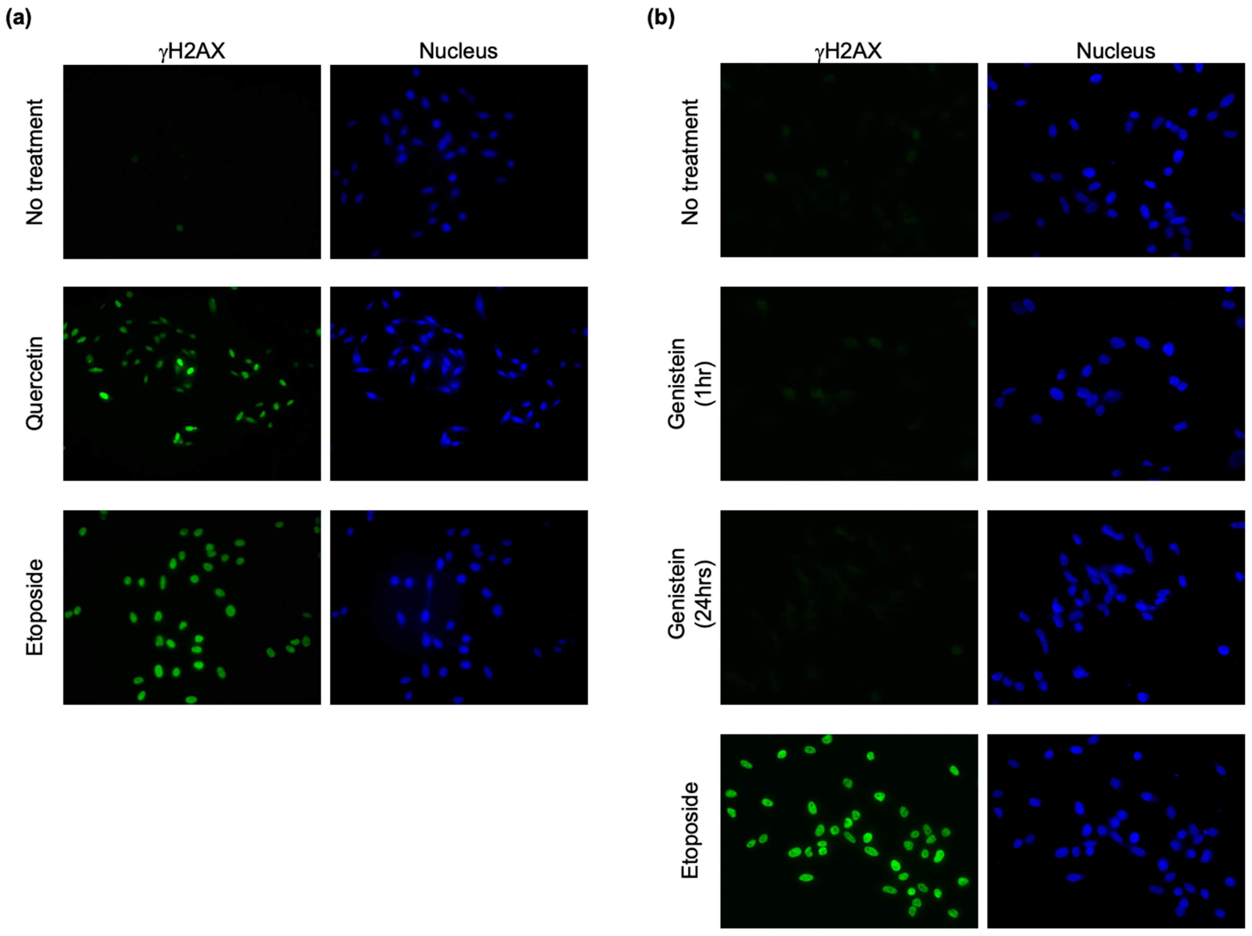 Genes 14 00420 g005 Genes 14 00420 g005