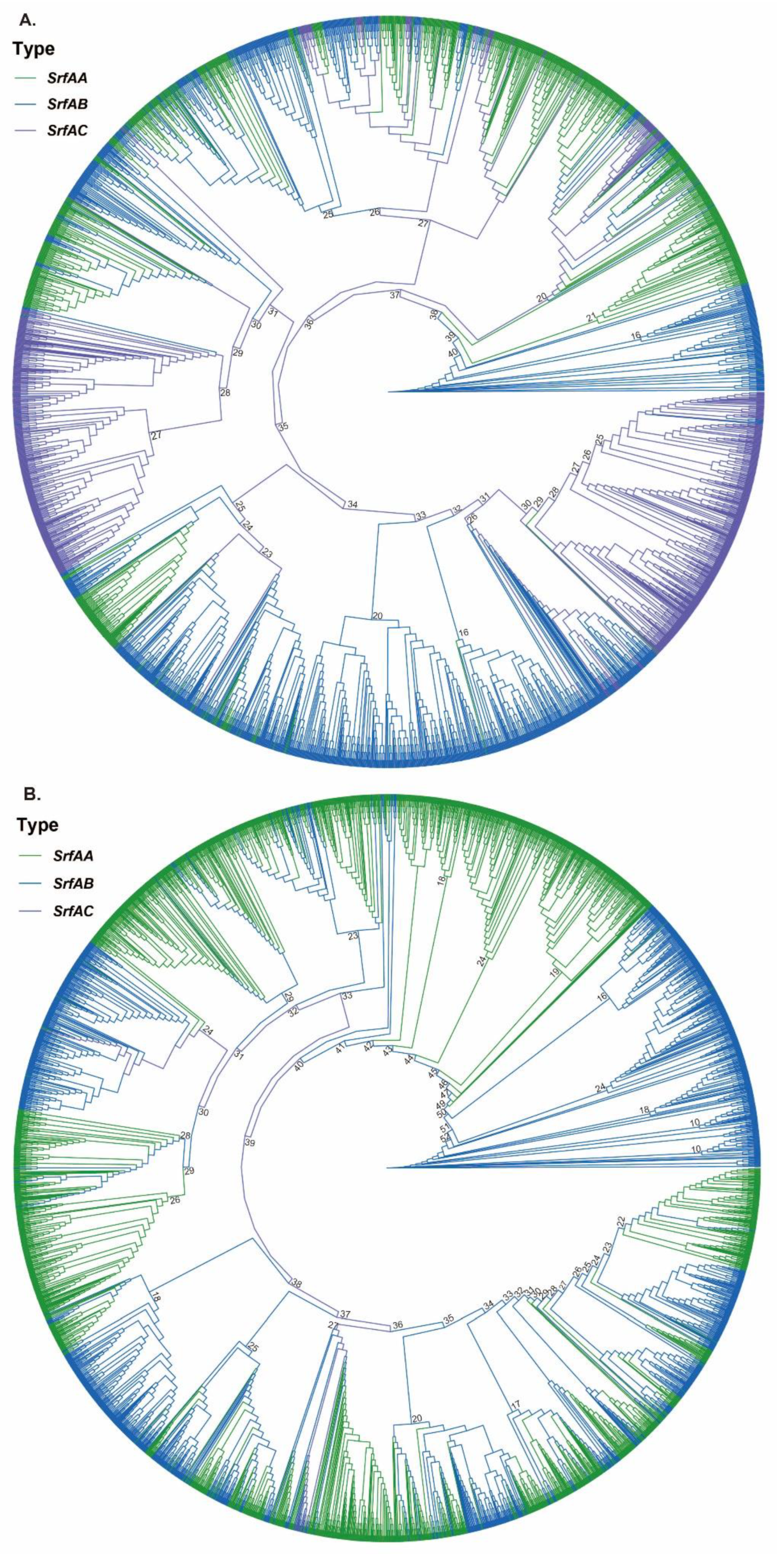 Genes 14 00422 g001