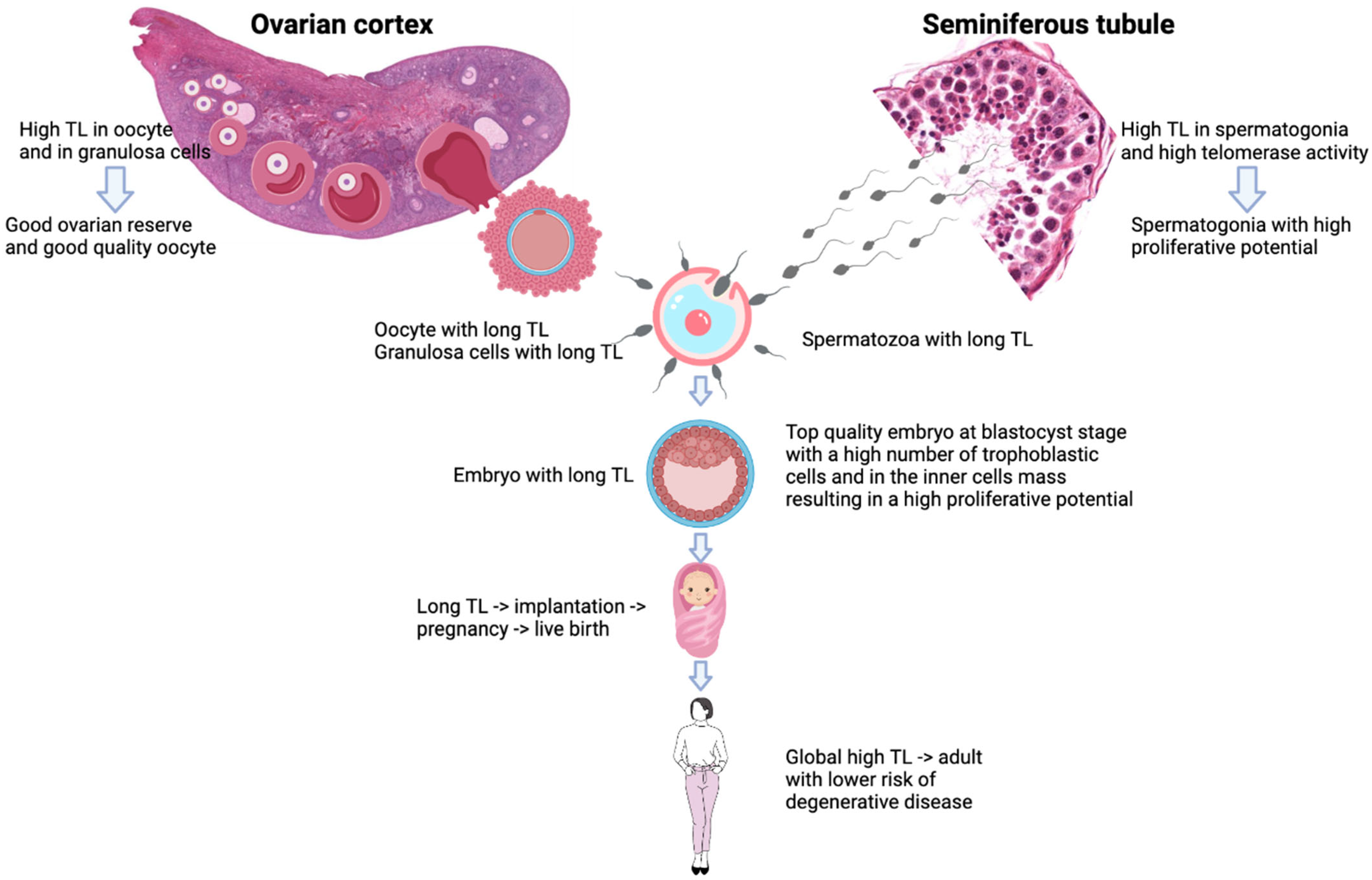 Genes 14 00425 g002 Genes 14 00425 g002
