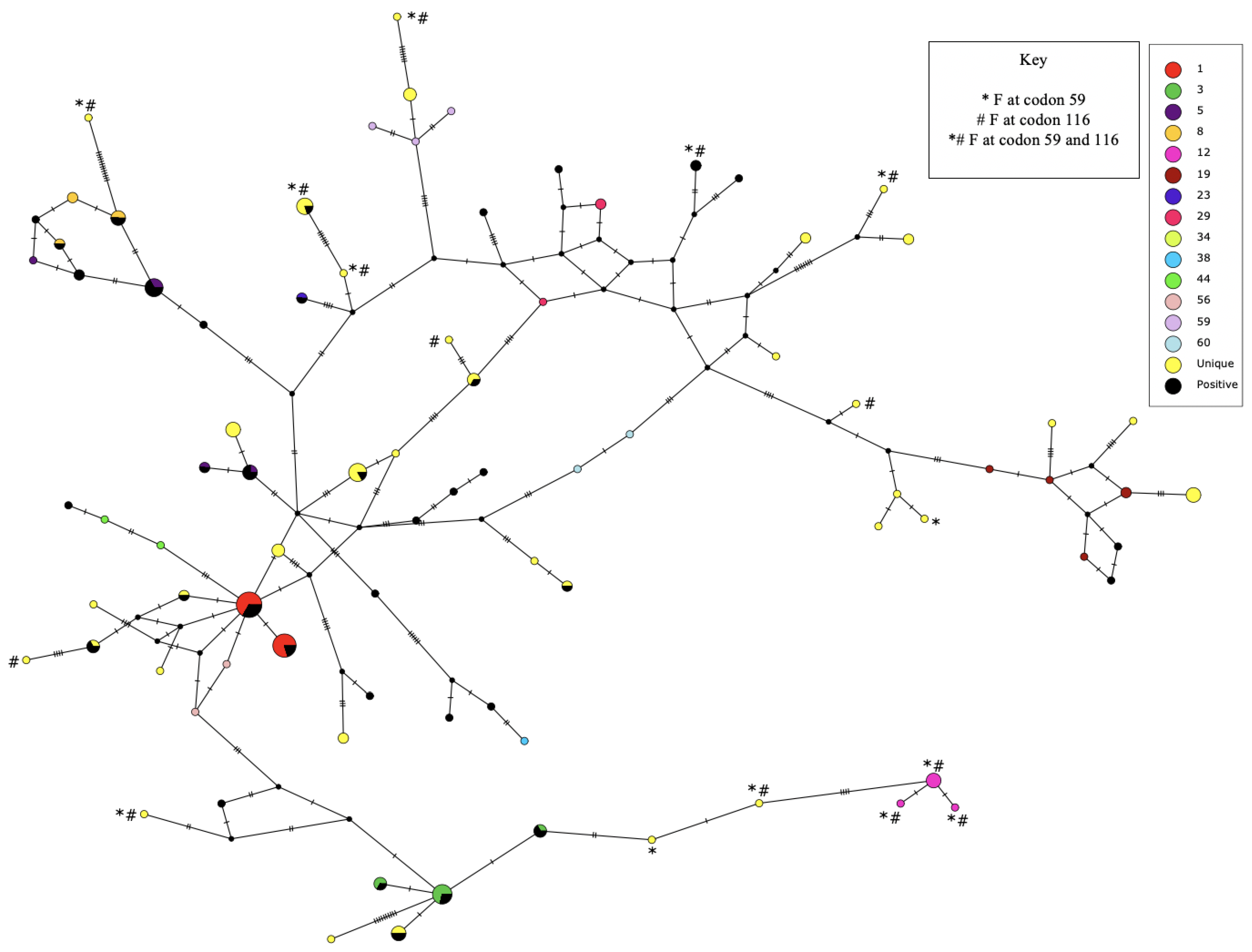Genes 14 00426 g002 Genes 14 00426 g002
