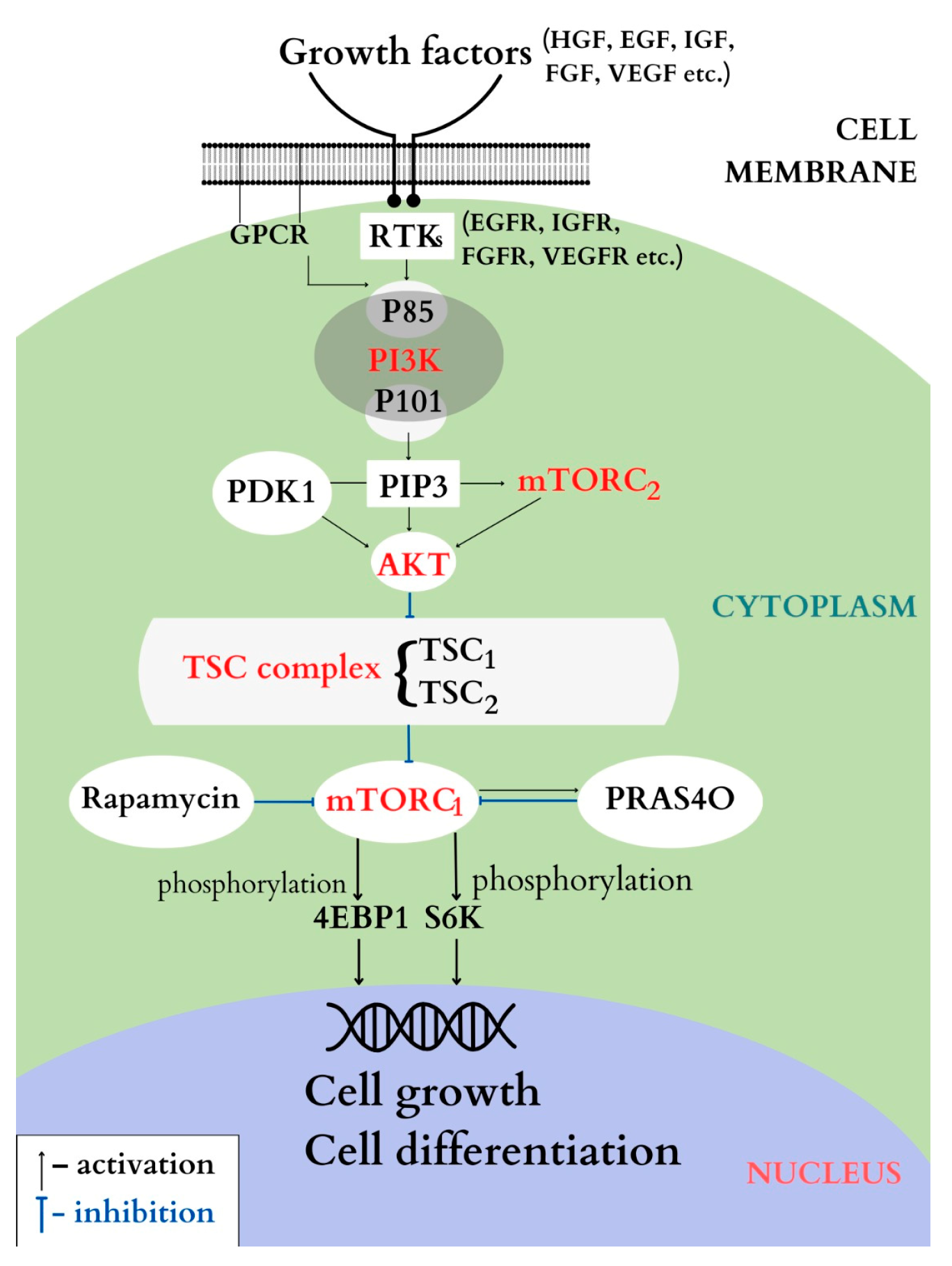 Genes 14 00433 g005 Genes 14 00433 g005