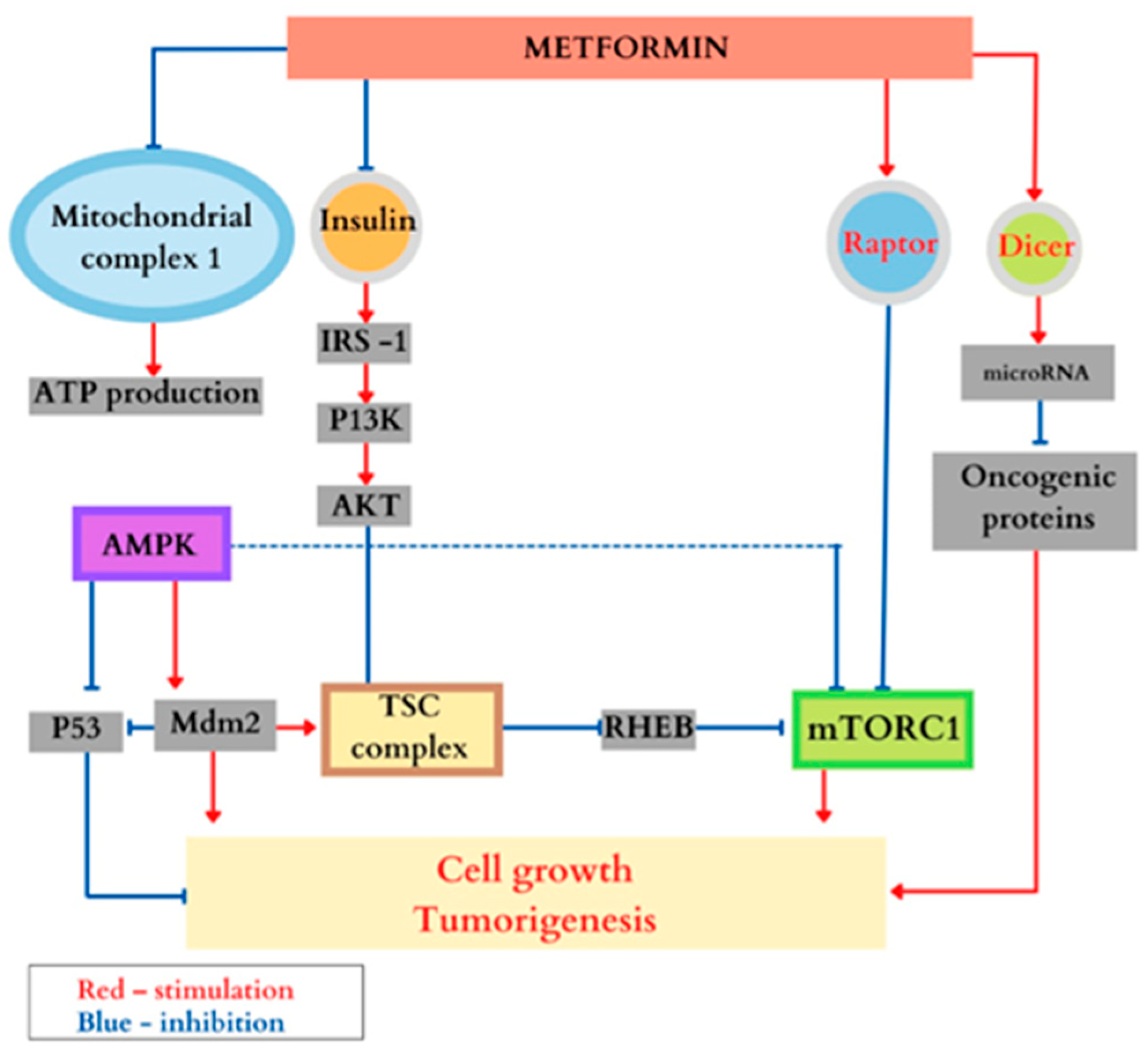 Genes 14 00433 g006 Genes 14 00433 g006