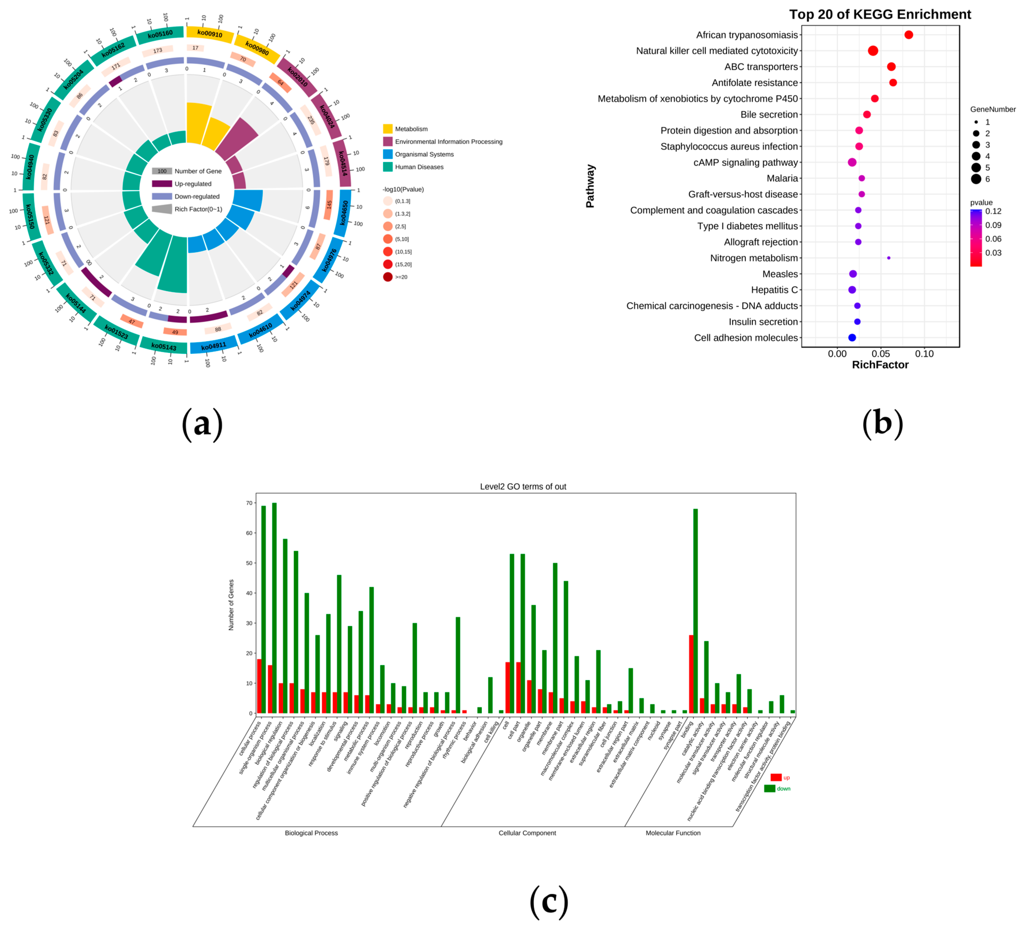 Genes 14 00444 g002 Genes 14 00444 g002