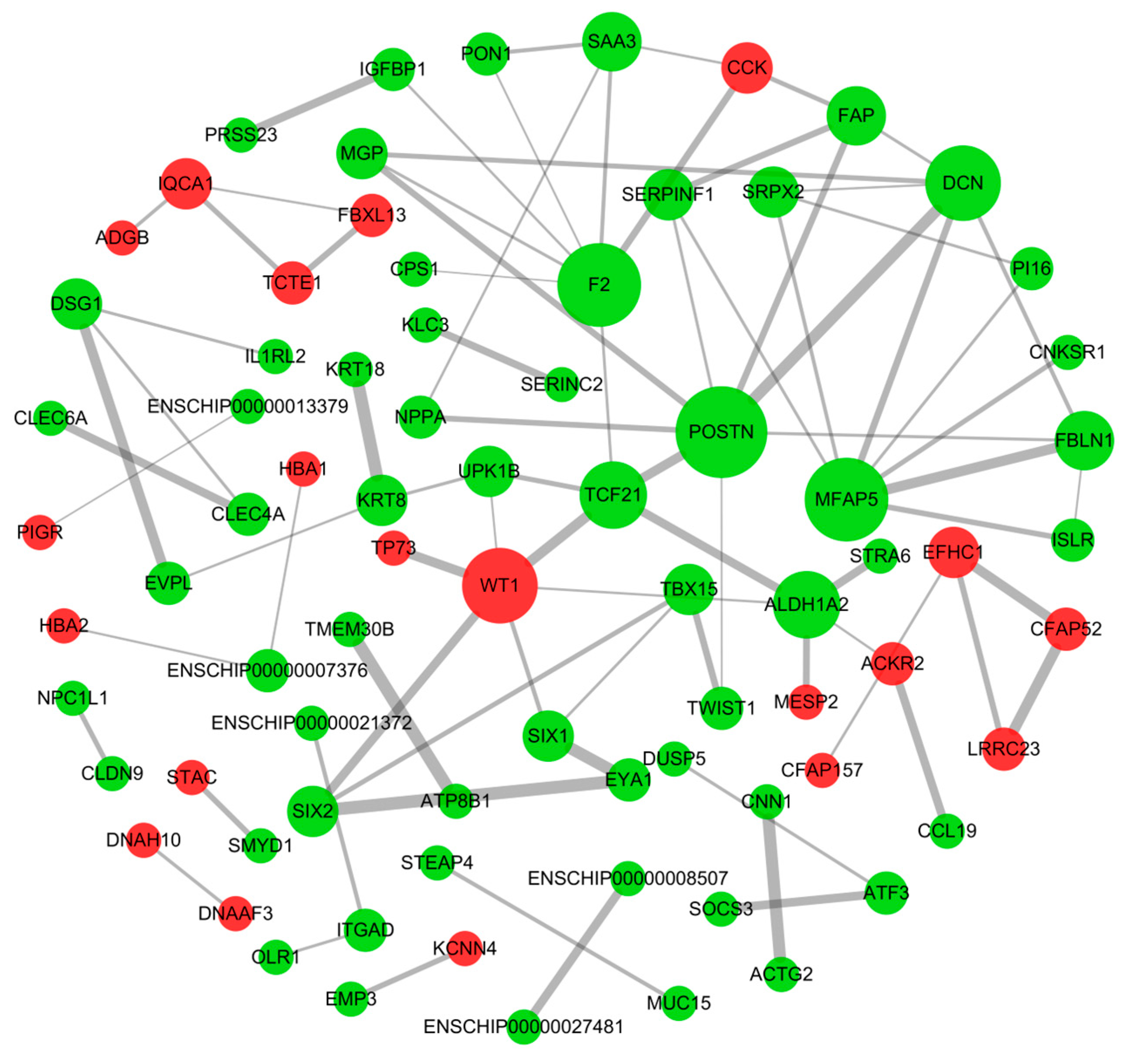 Genes 14 00444 g003 Genes 14 00444 g003