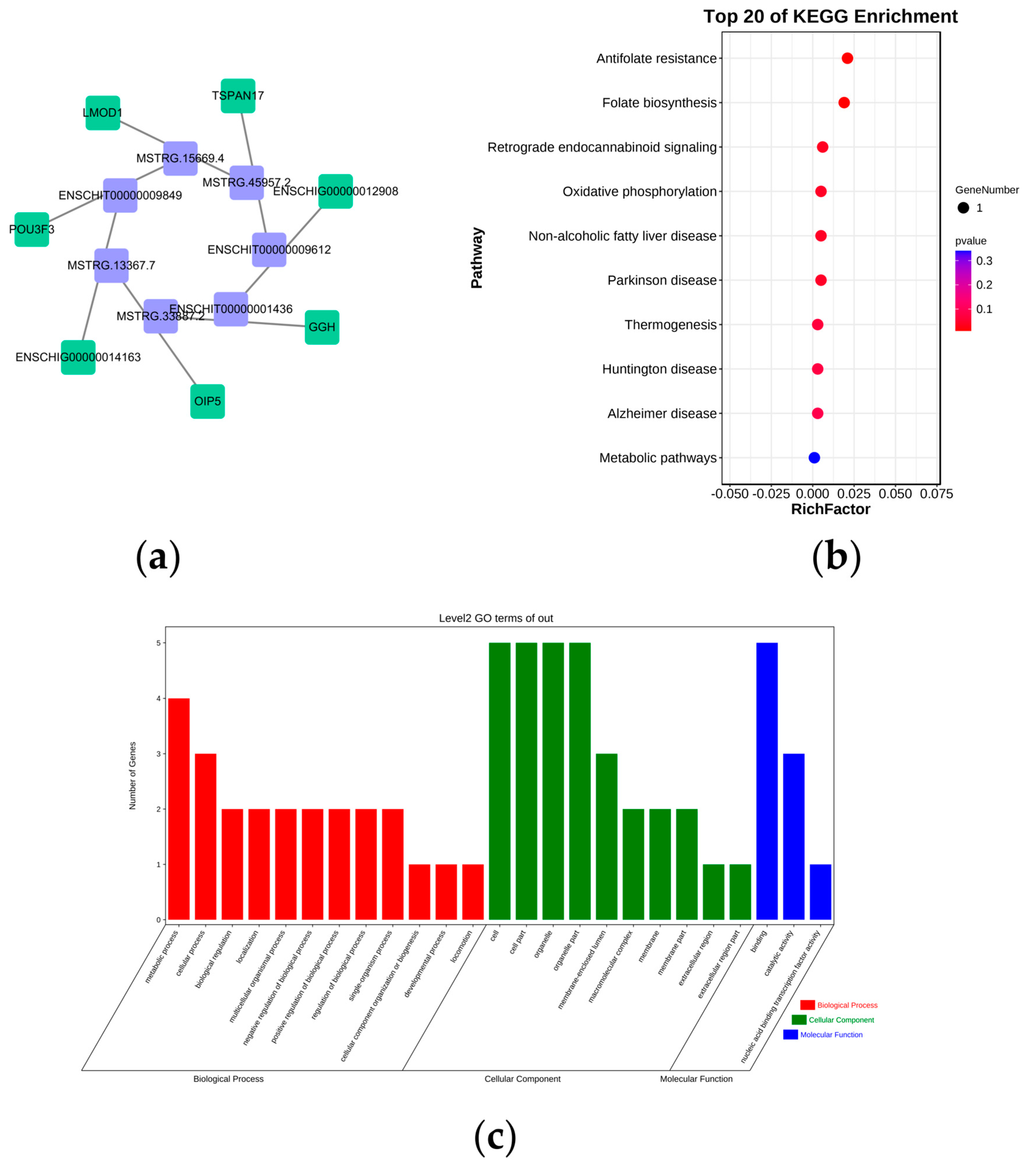Genes 14 00444 g004 Genes 14 00444 g004