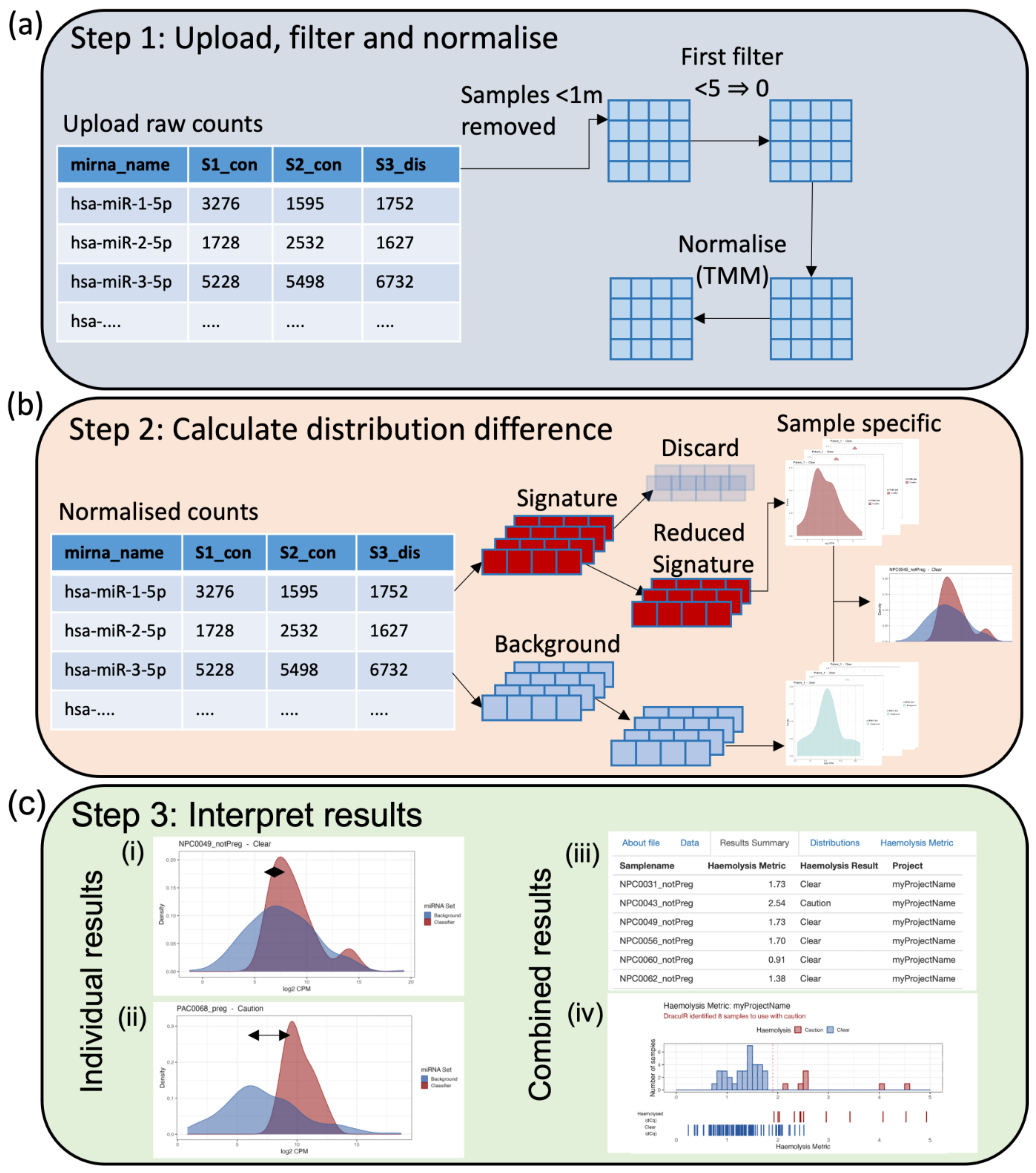 Genes 14 00448 g002 Genes 14 00448 g002