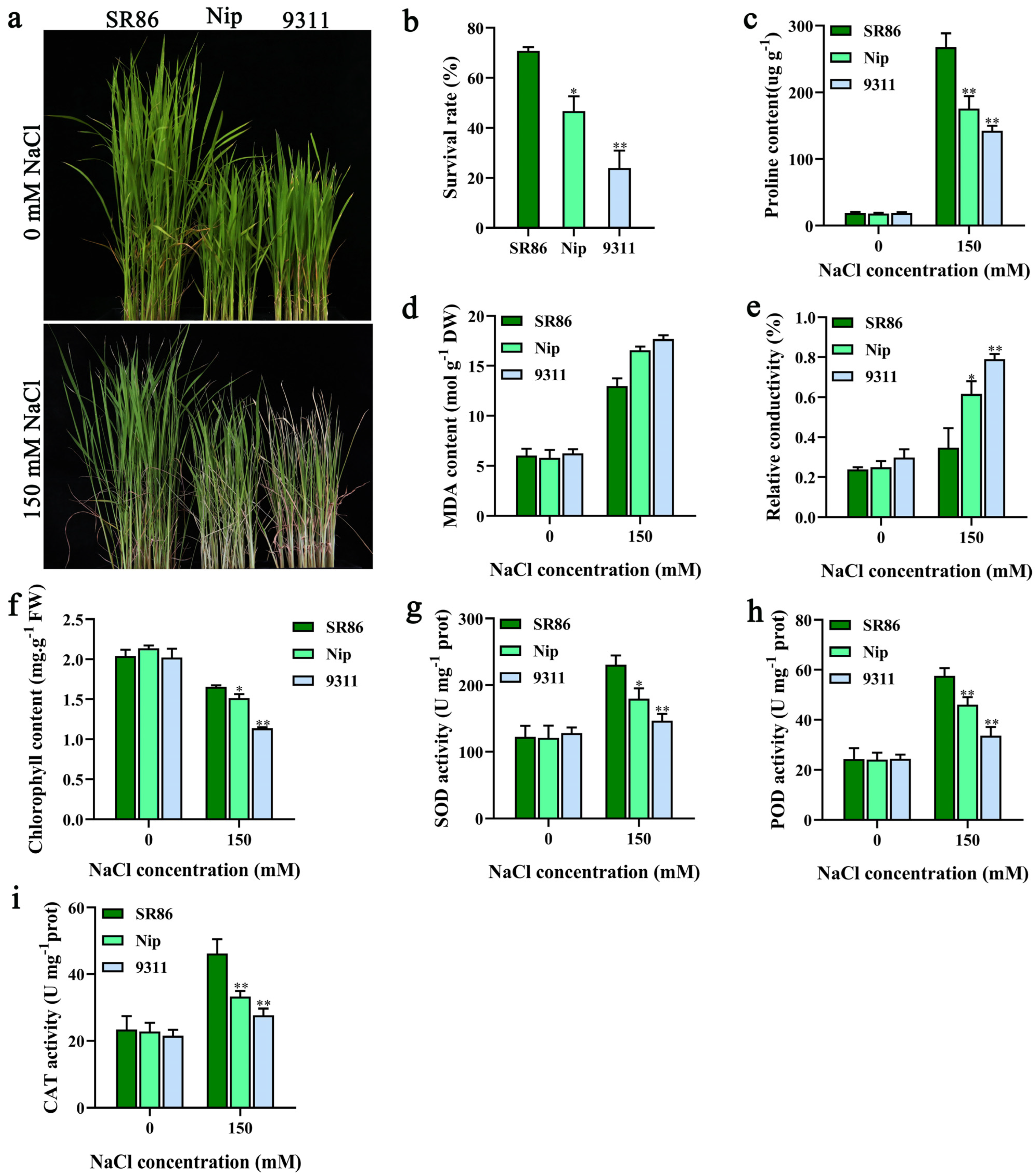 Genes 14 00458 g001 Genes 14 00458 g001