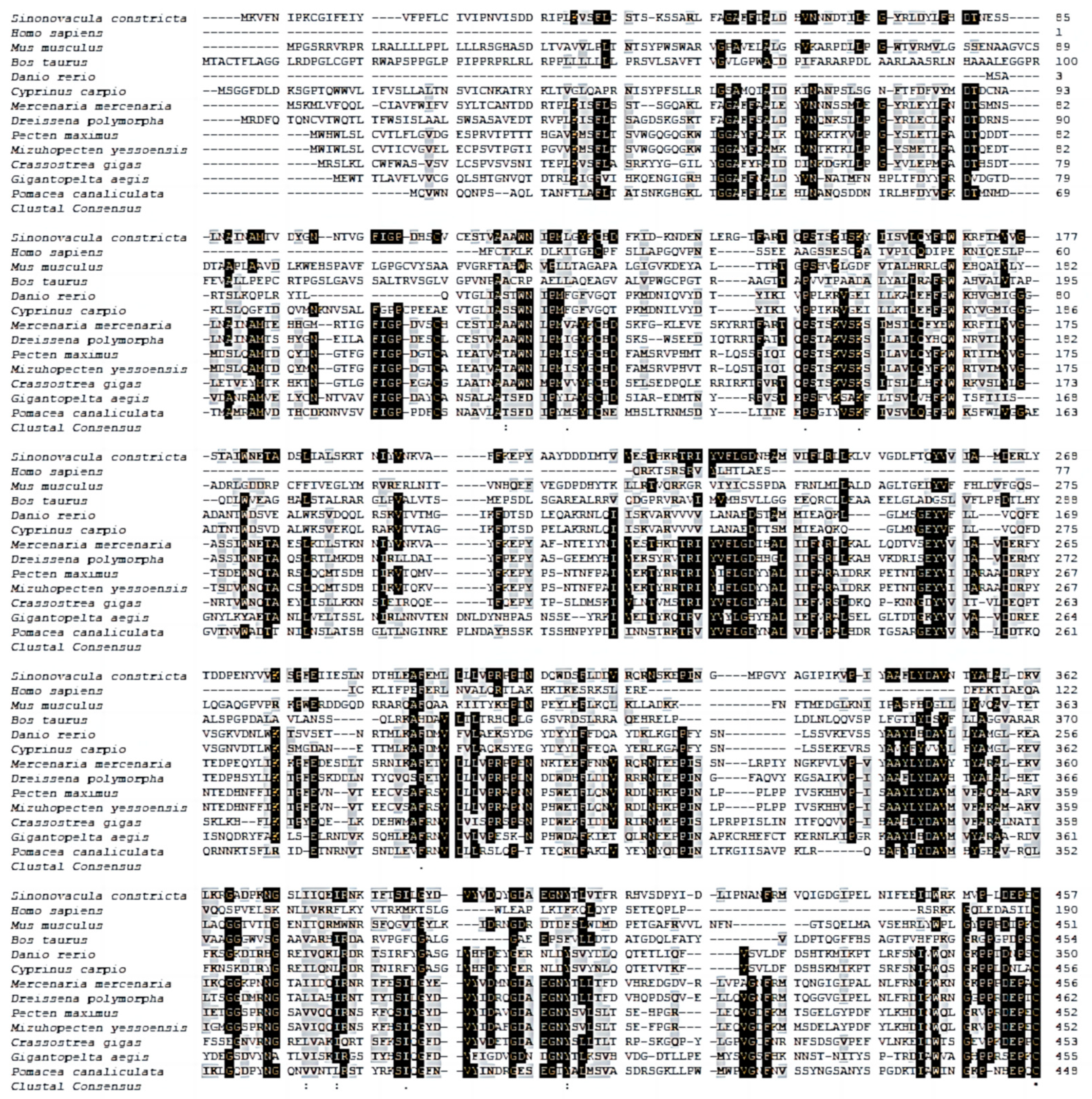 Genes 14 00459 g001a