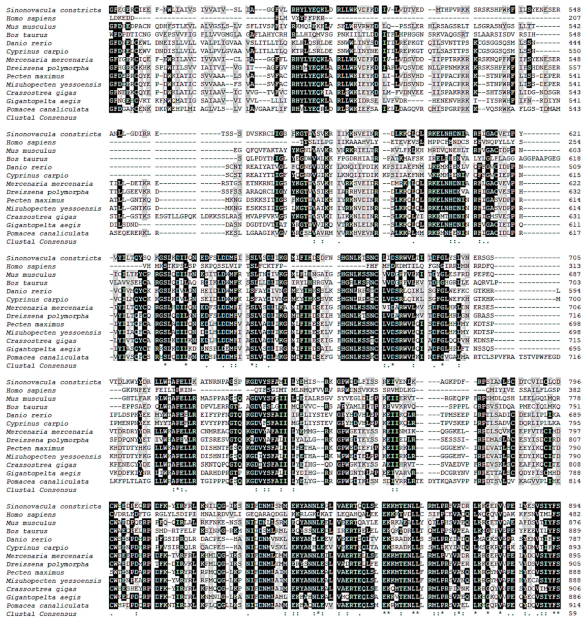 Genes 14 00459 g001b