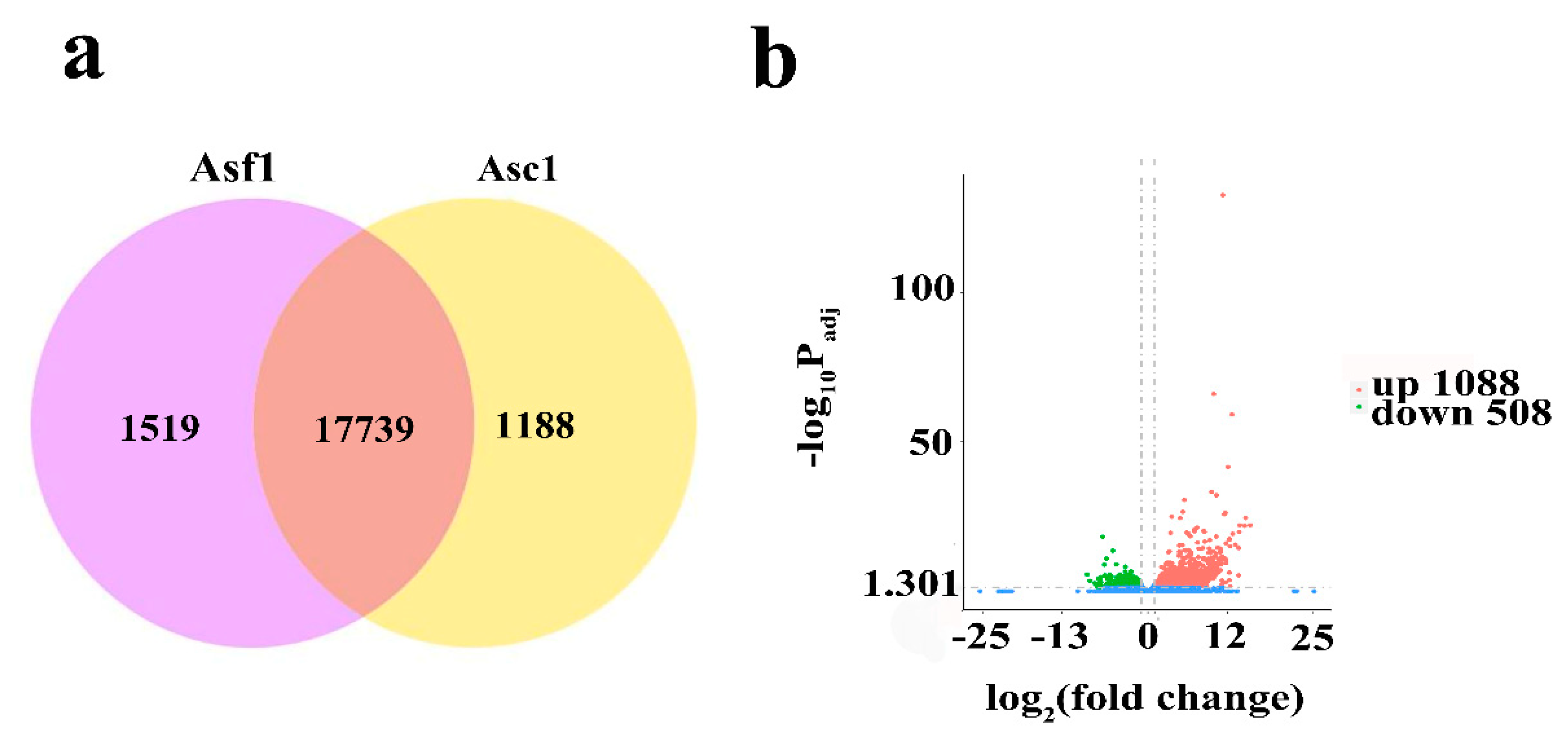 Genes 14 00464 g001 Genes 14 00464 g001