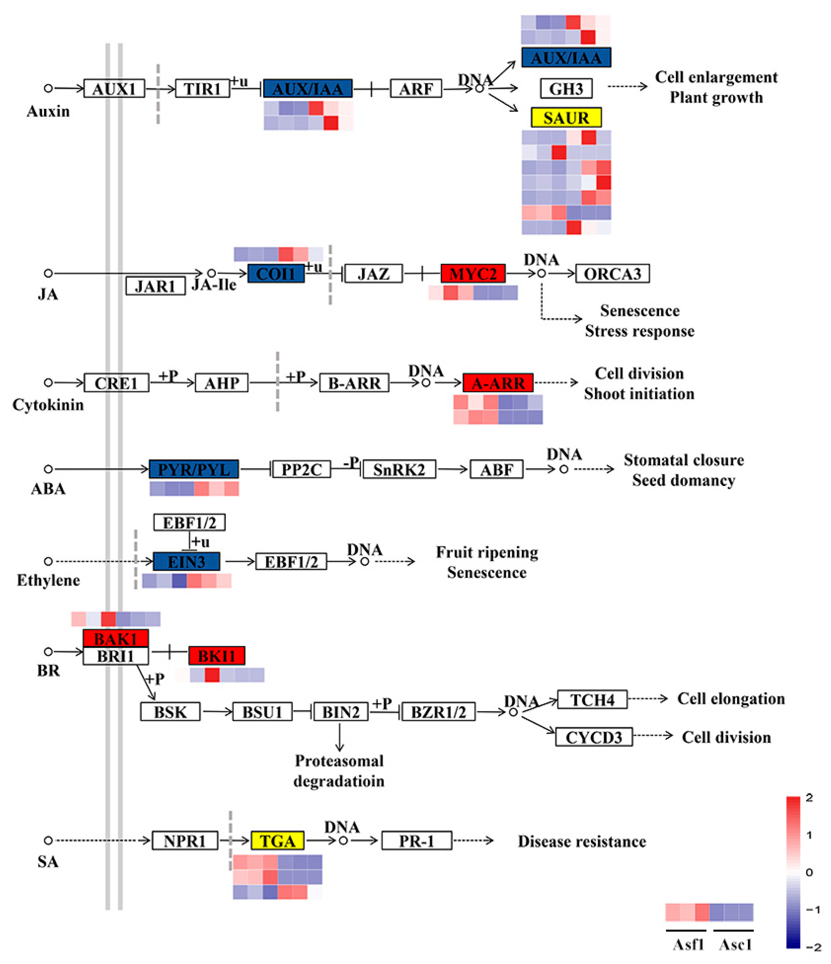 Genes 14 00464 g003 Genes 14 00464 g003