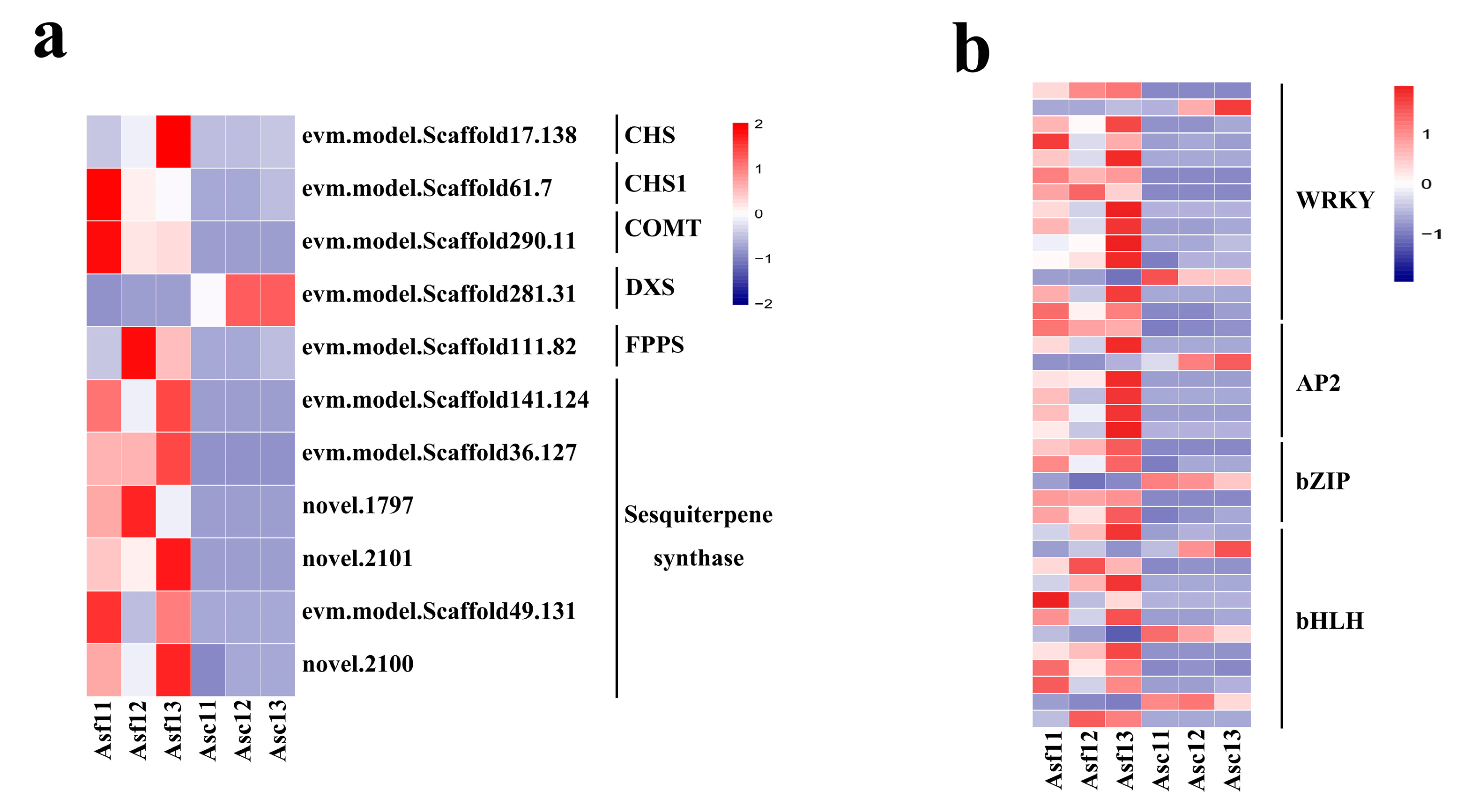 Genes 14 00464 g004 Genes 14 00464 g004