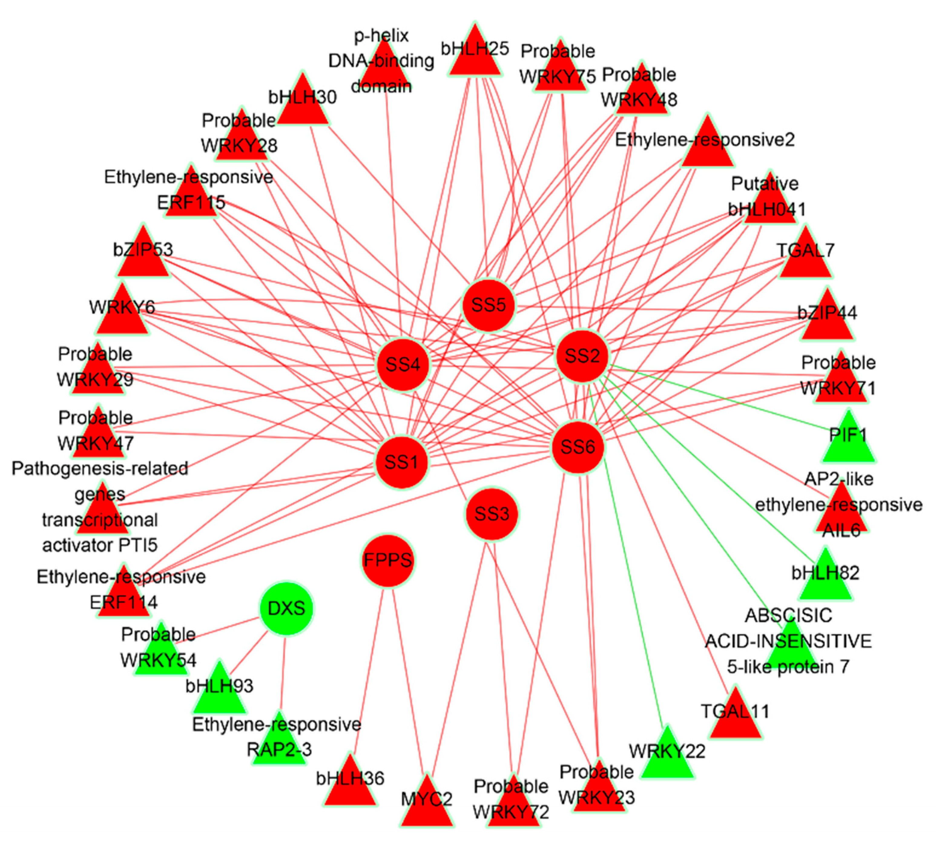 Genes 14 00464 g005 Genes 14 00464 g005