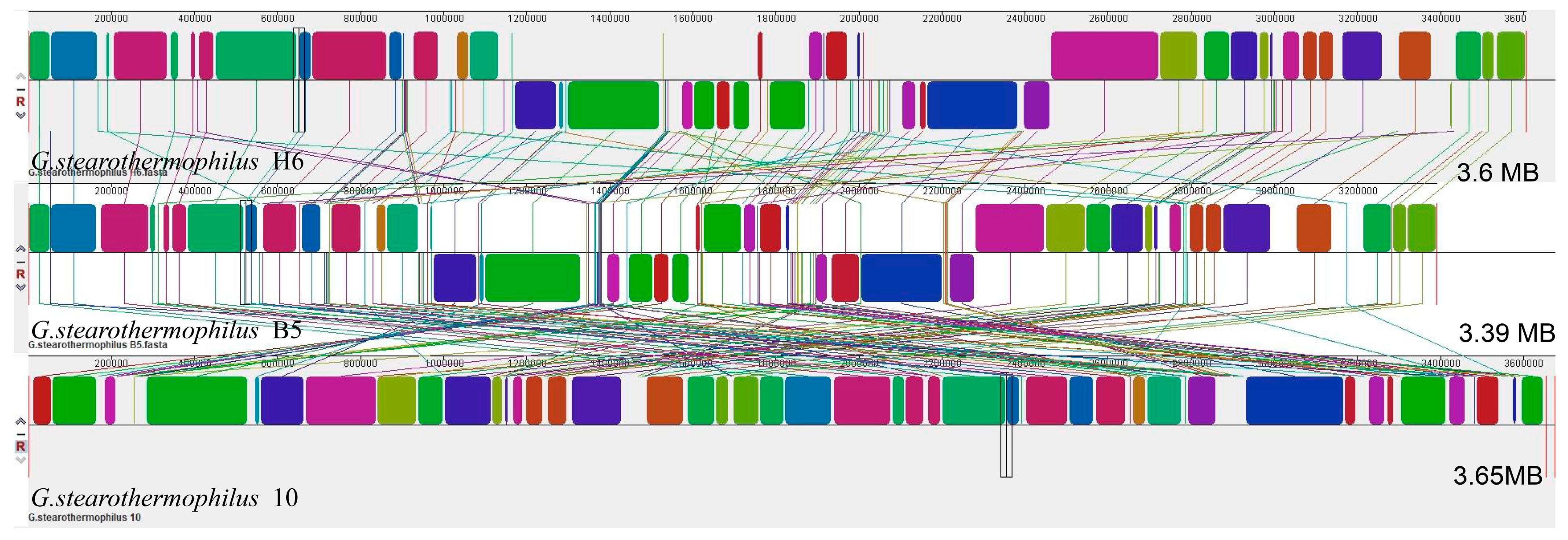Genes 14 00466 g002 Genes 14 00466 g002
