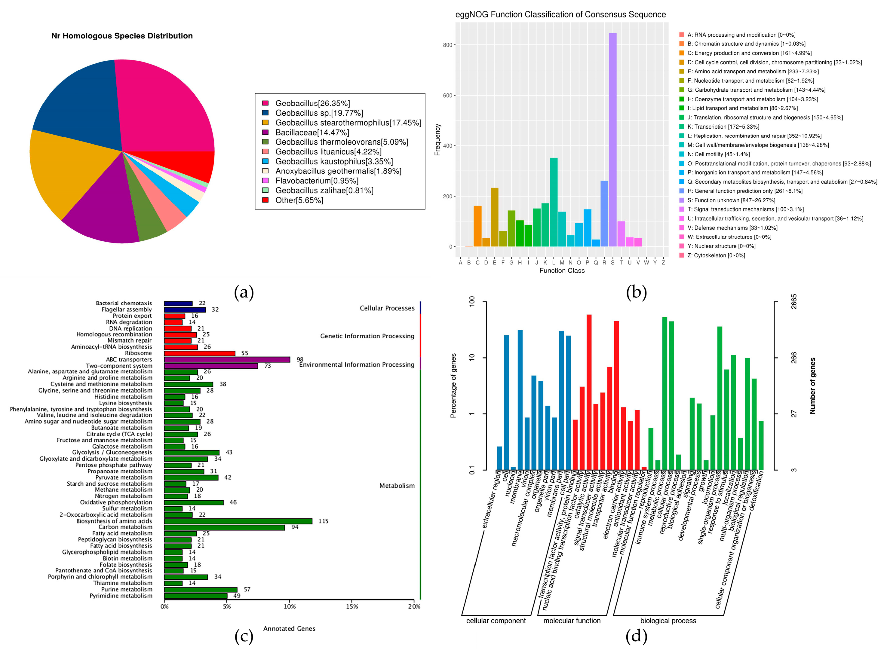 Genes 14 00466 g005 Genes 14 00466 g005