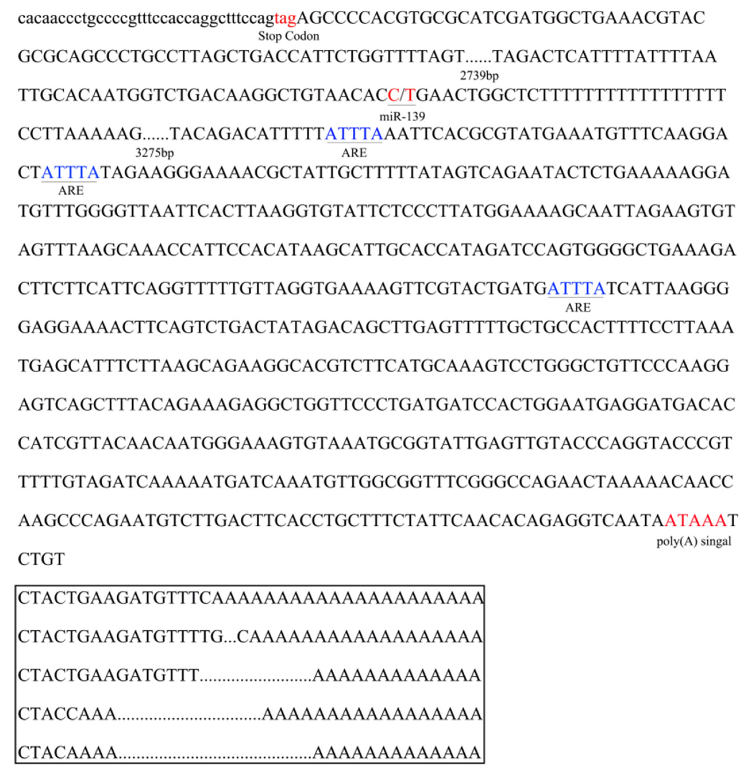 Genes 14 00467 g002