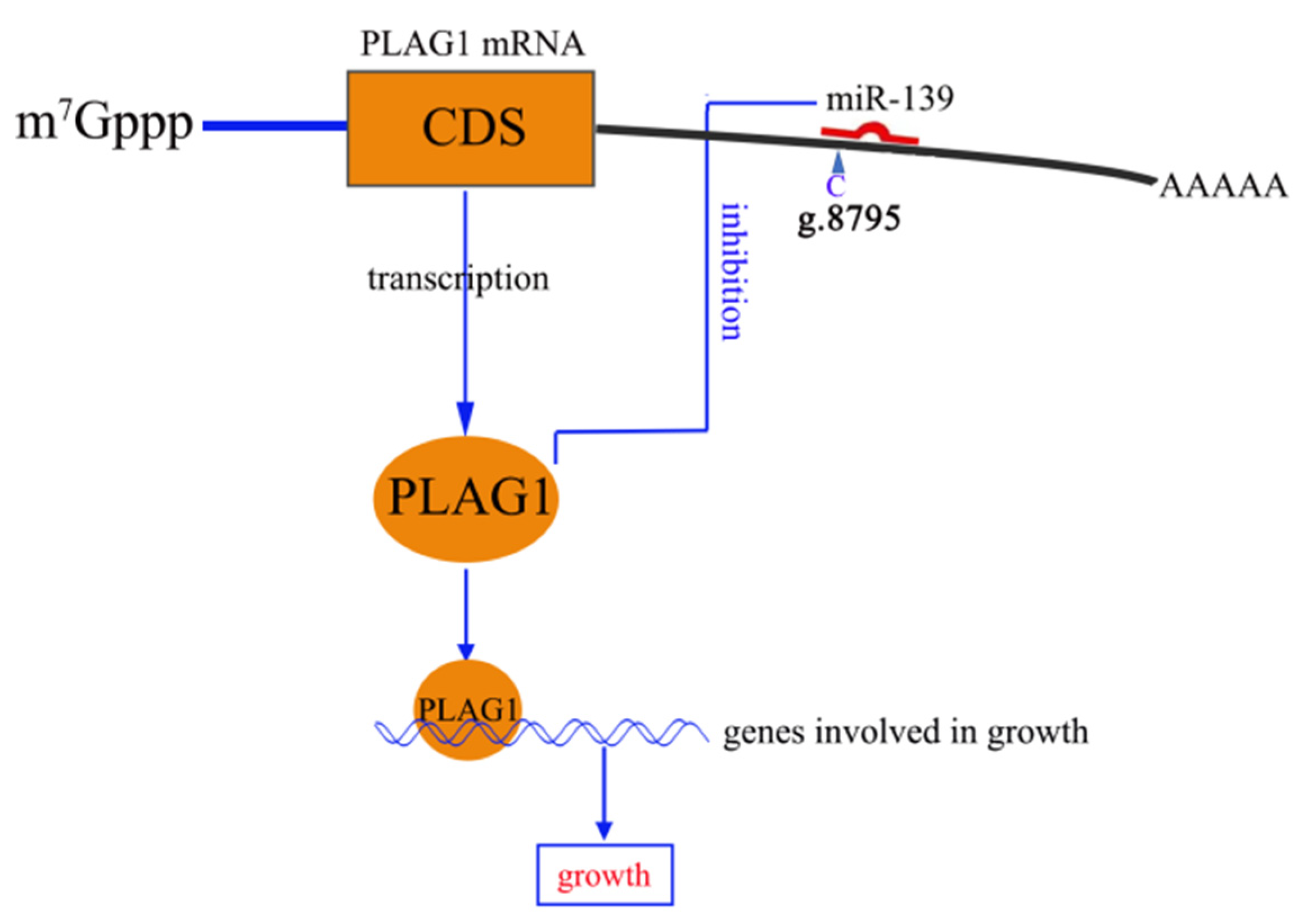 Genes 14 00467 g006