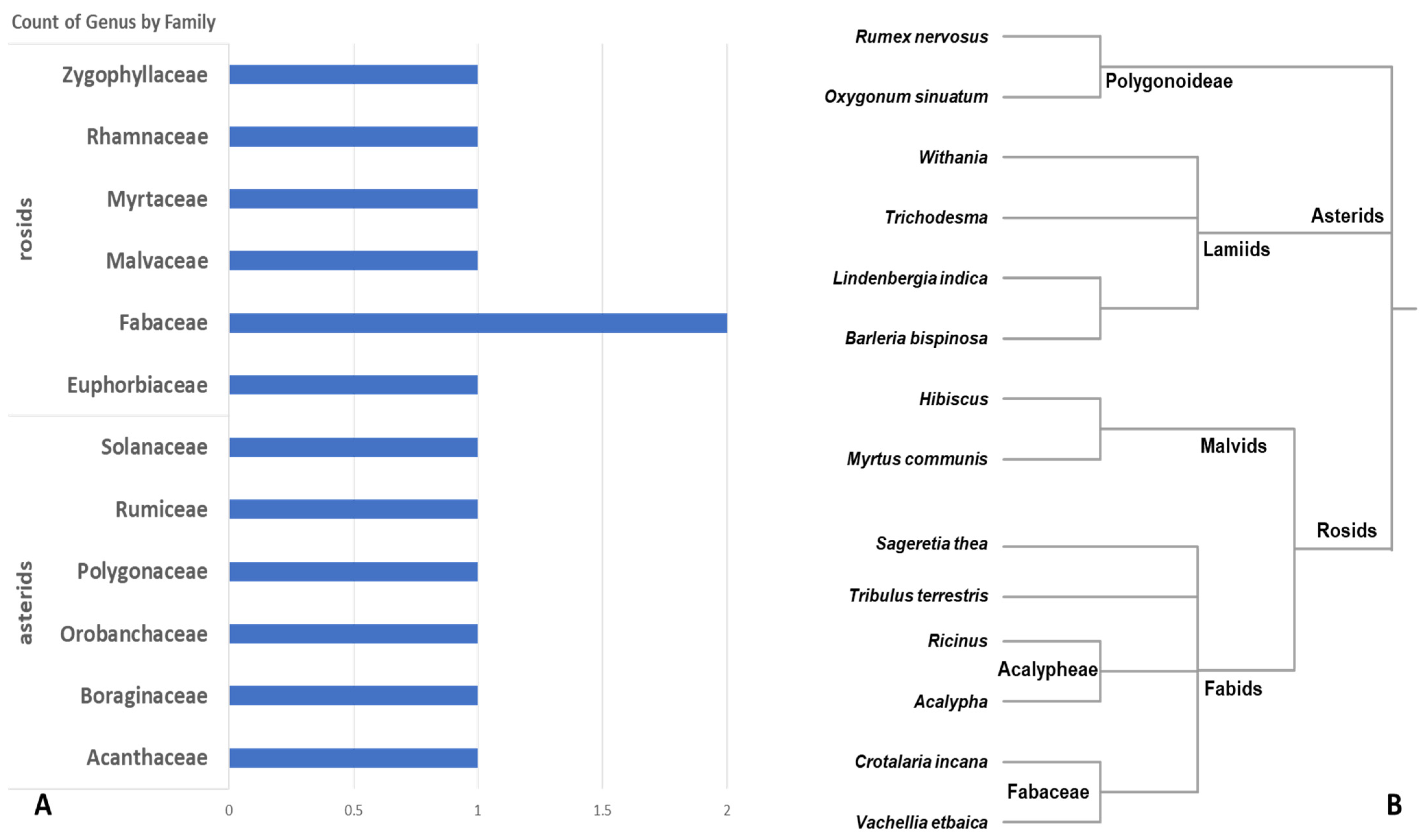 Genes 14 00469 g002 Genes 14 00469 g002