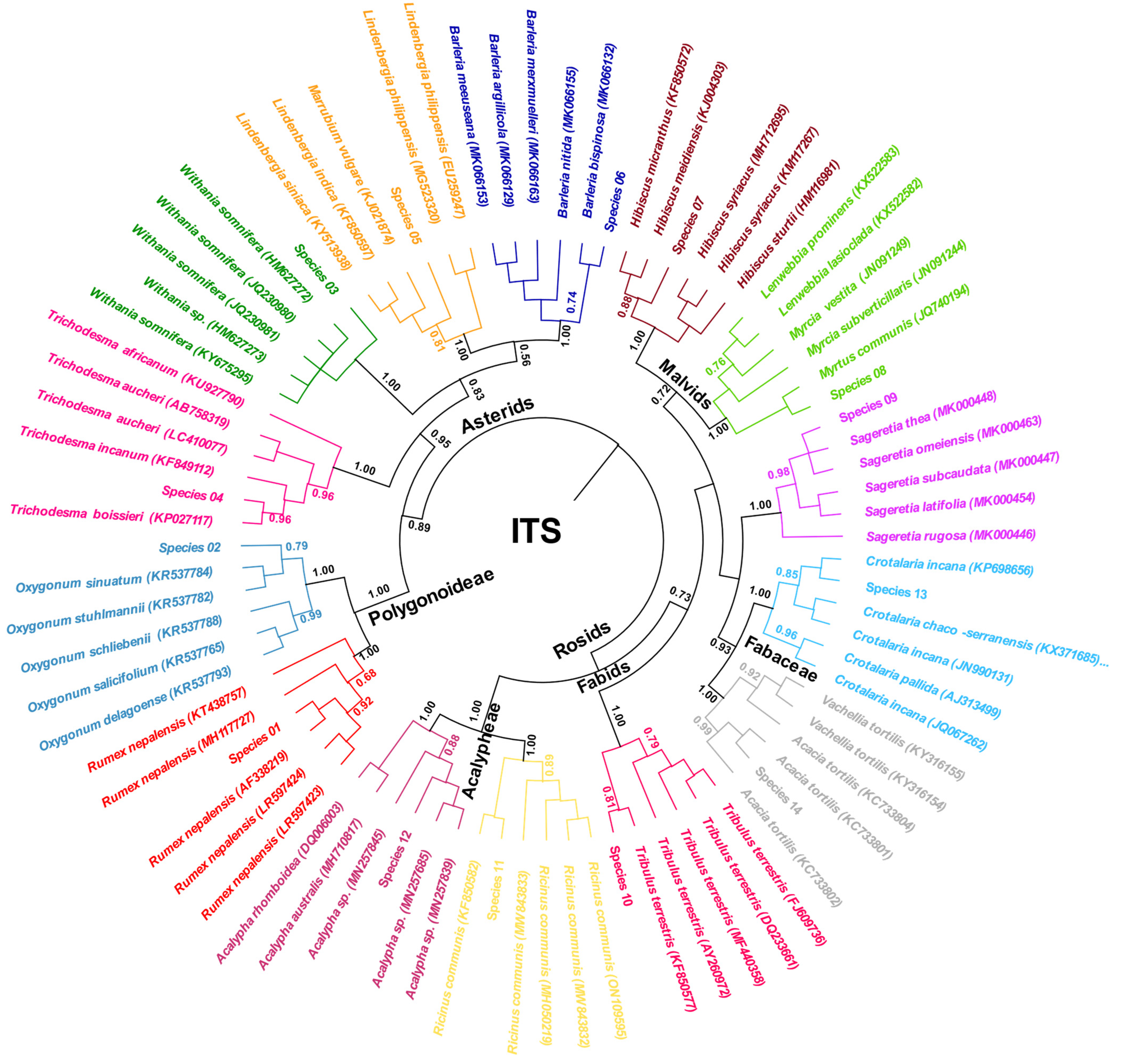 Genes 14 00469 g004 Genes 14 00469 g004