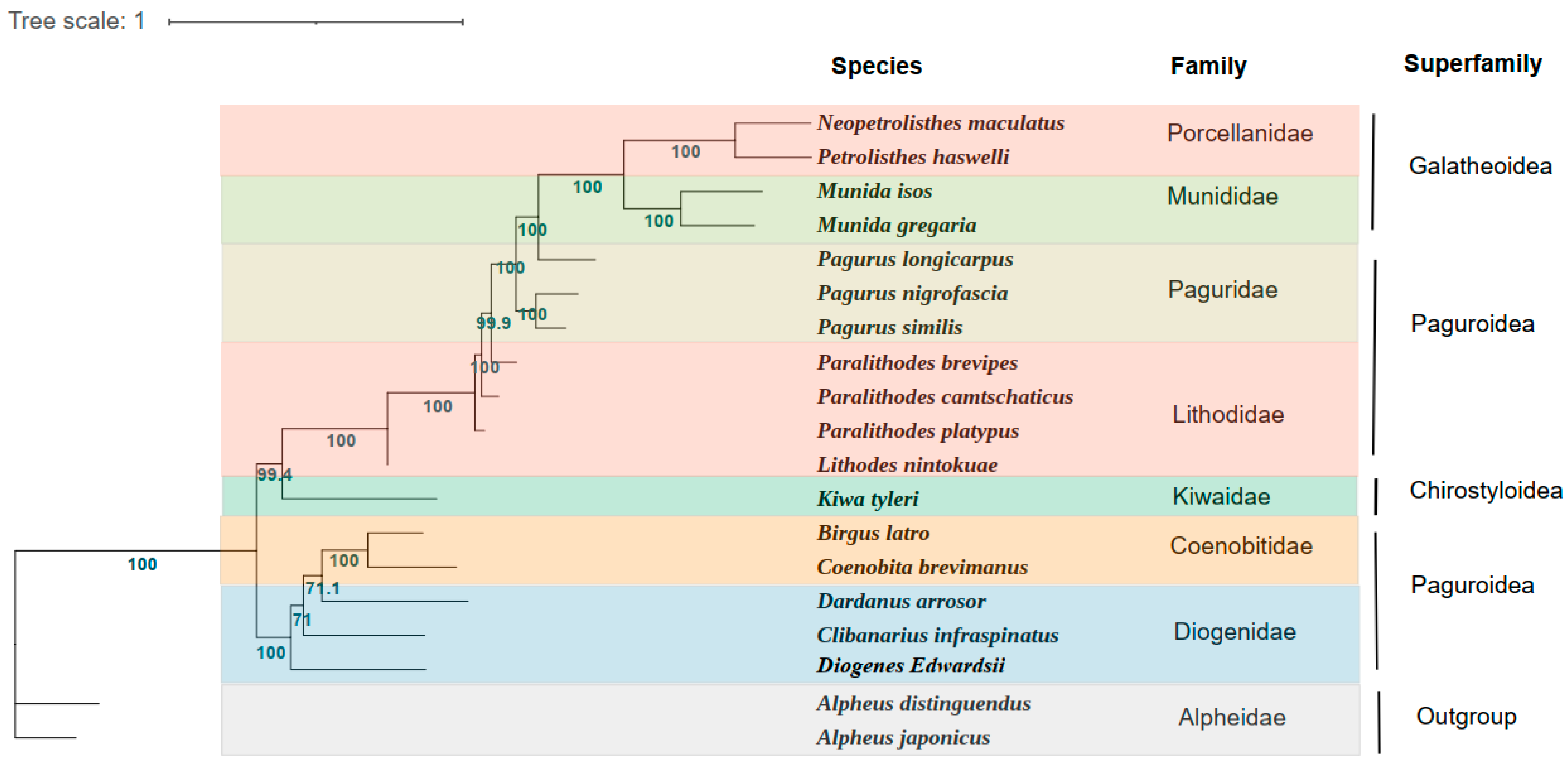 Genes 14 00470 g003 Genes 14 00470 g003