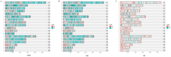 Copy Number Variation Analysis Revealed the Evolutionary Difference ...