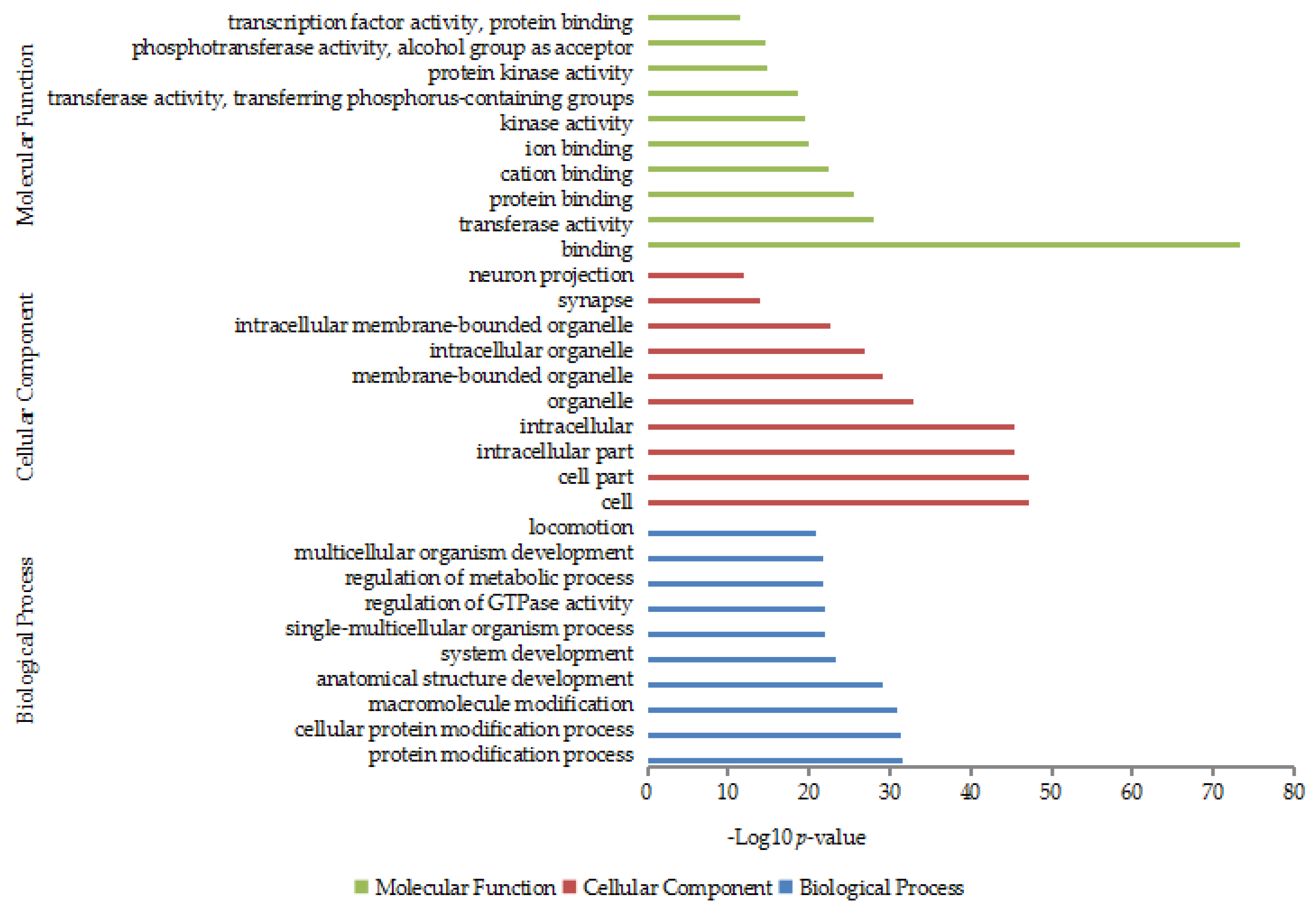 Genes 14 00473 g004 Genes 14 00473 g004