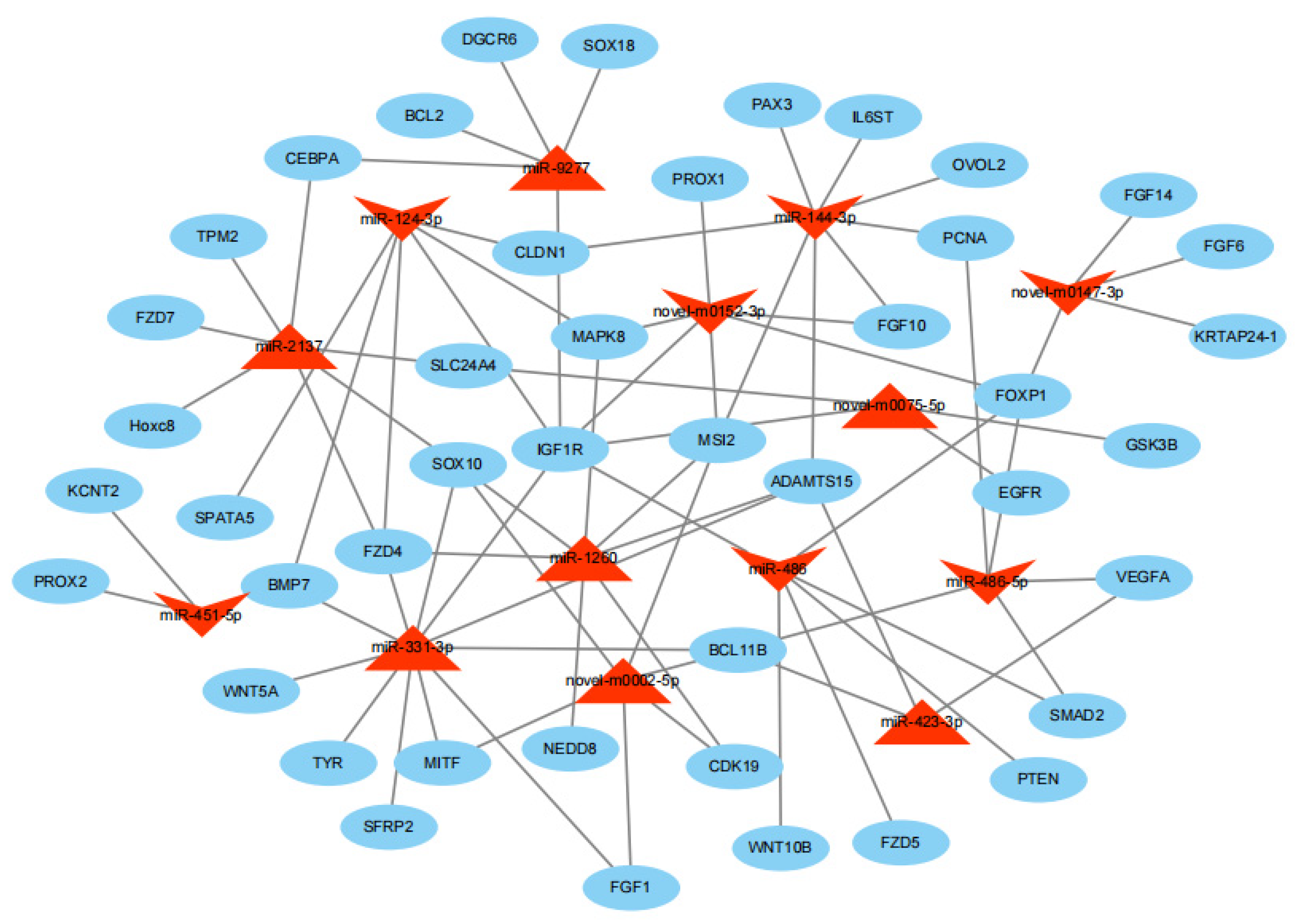 Genes 14 00473 g006 Genes 14 00473 g006