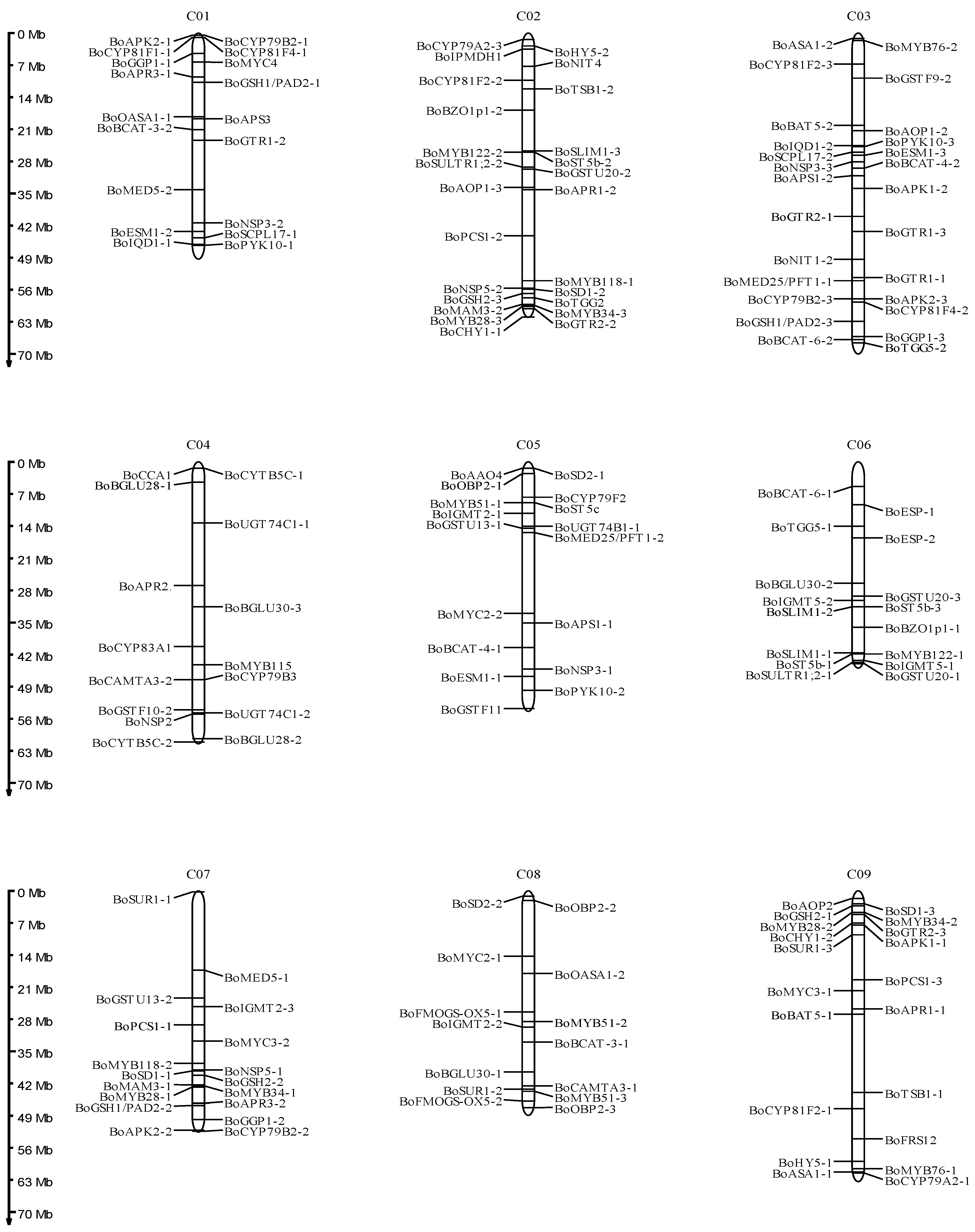 Genes 14 00476 g003 Genes 14 00476 g003