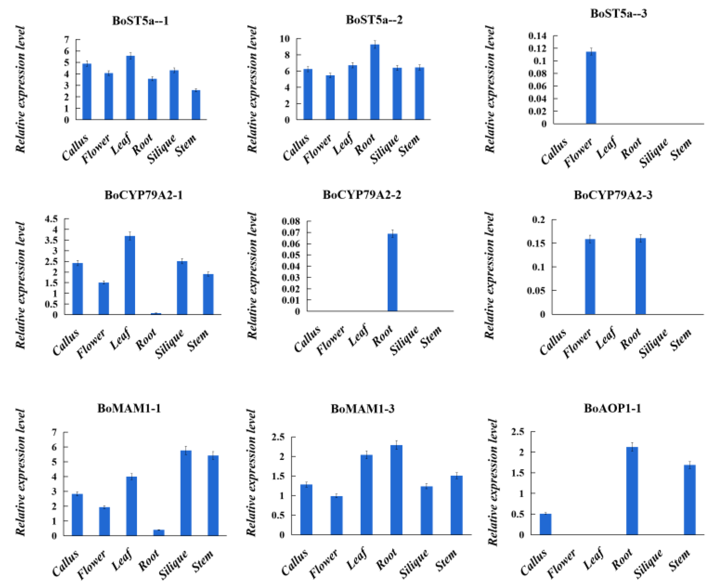 Genes 14 00476 g006 Genes 14 00476 g006