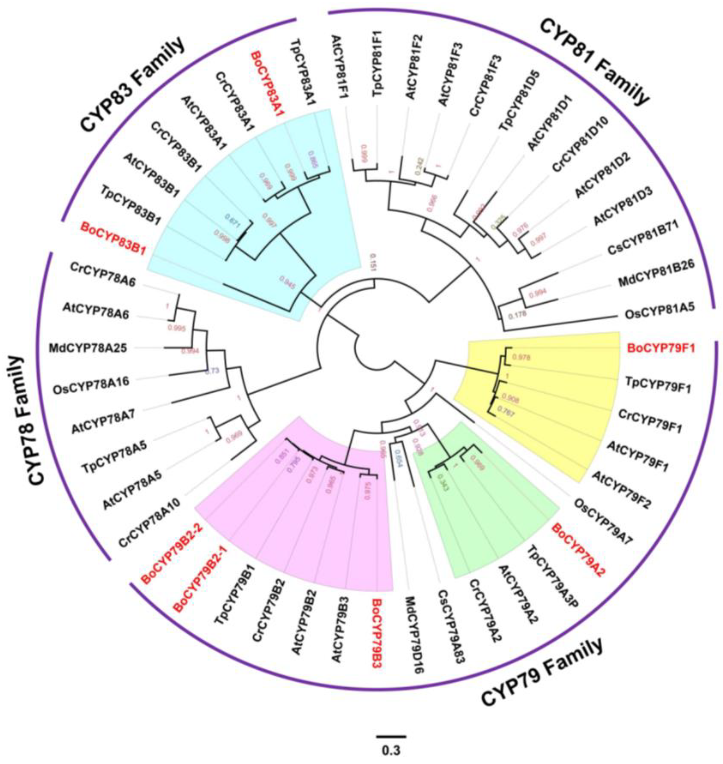 Genes 14 00476 g008 Genes 14 00476 g008