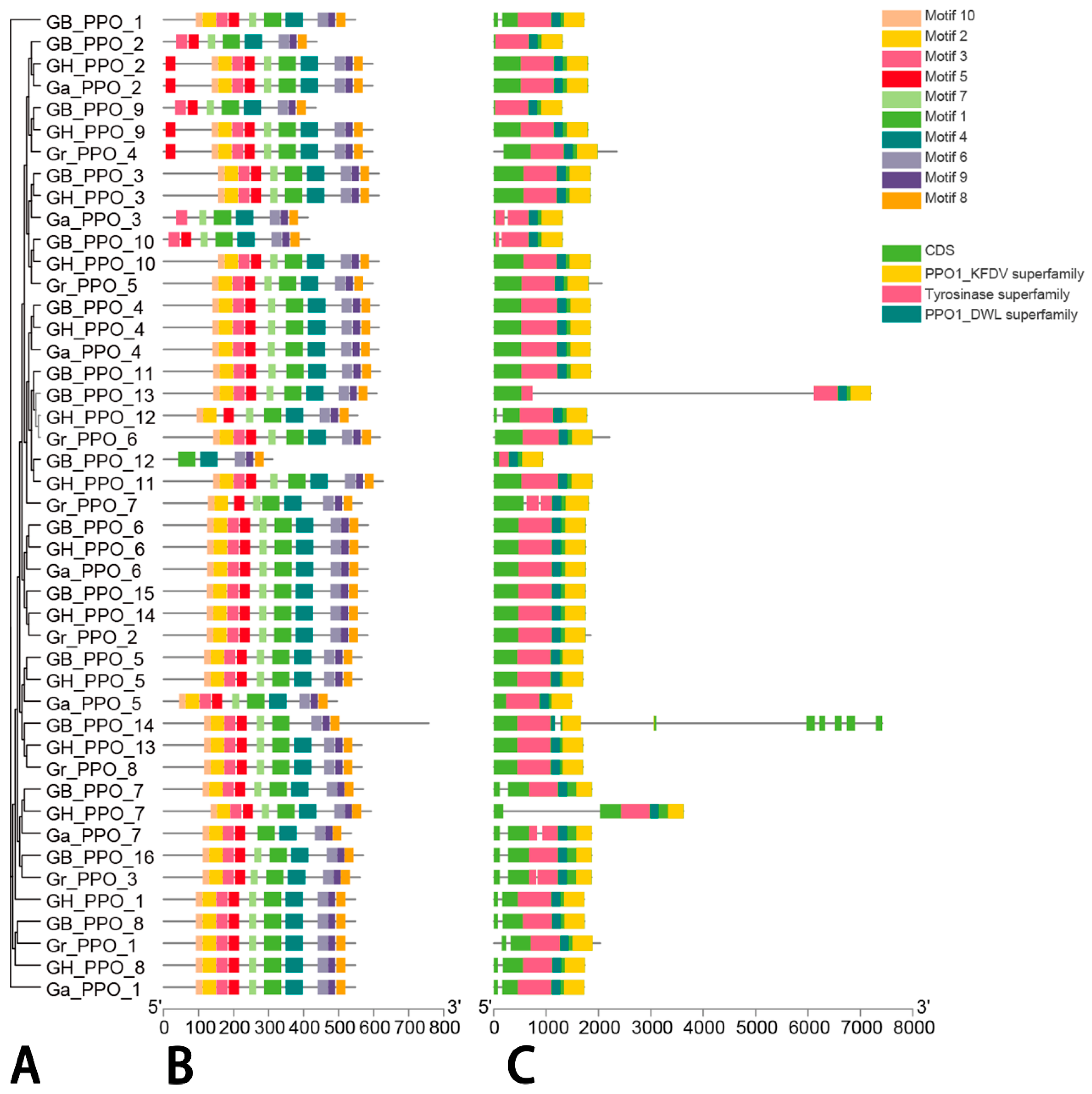 Genes 14 00477 g003