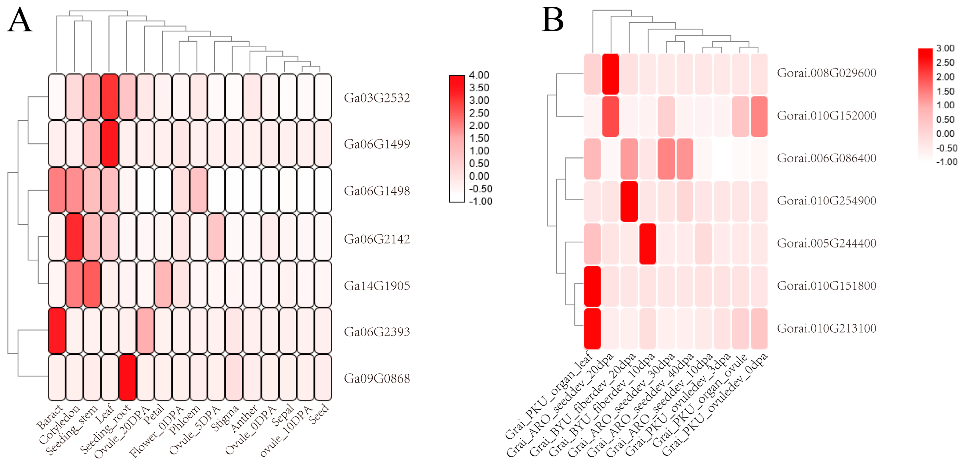 Genes 14 00477 g004