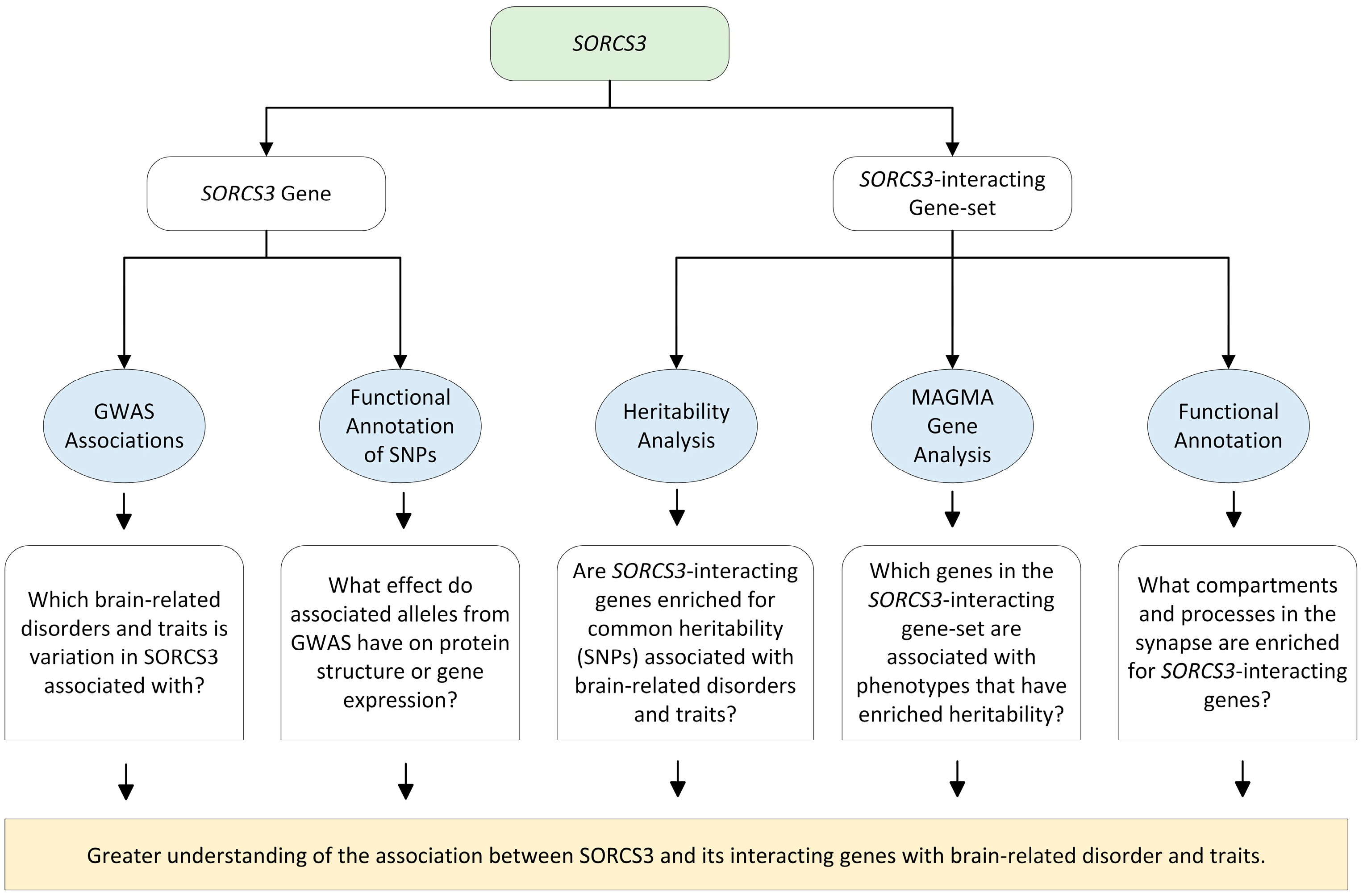 Genes 14 00482 g001 Genes 14 00482 g001