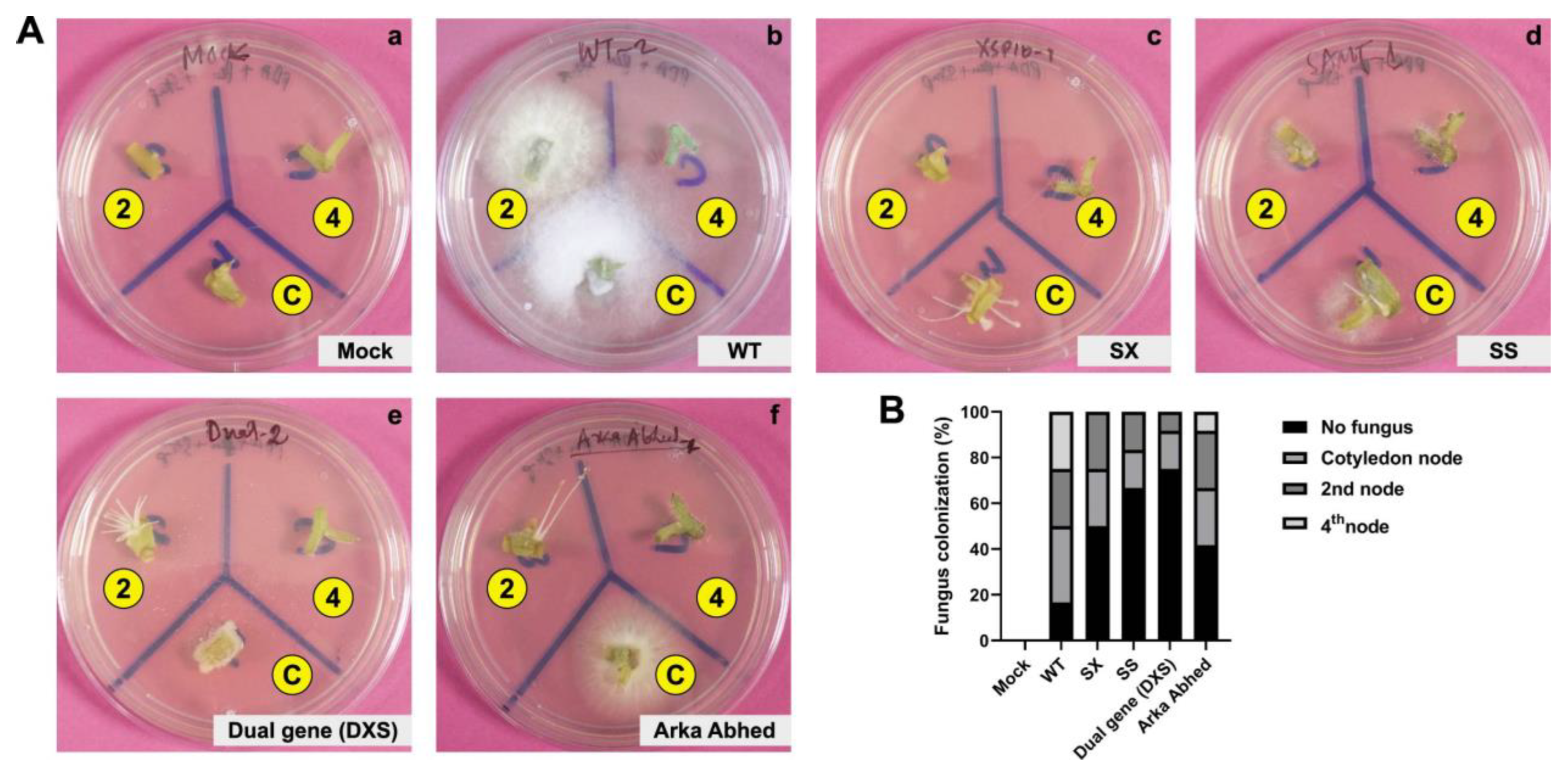 Genes 14 00488 g006 Genes 14 00488 g006