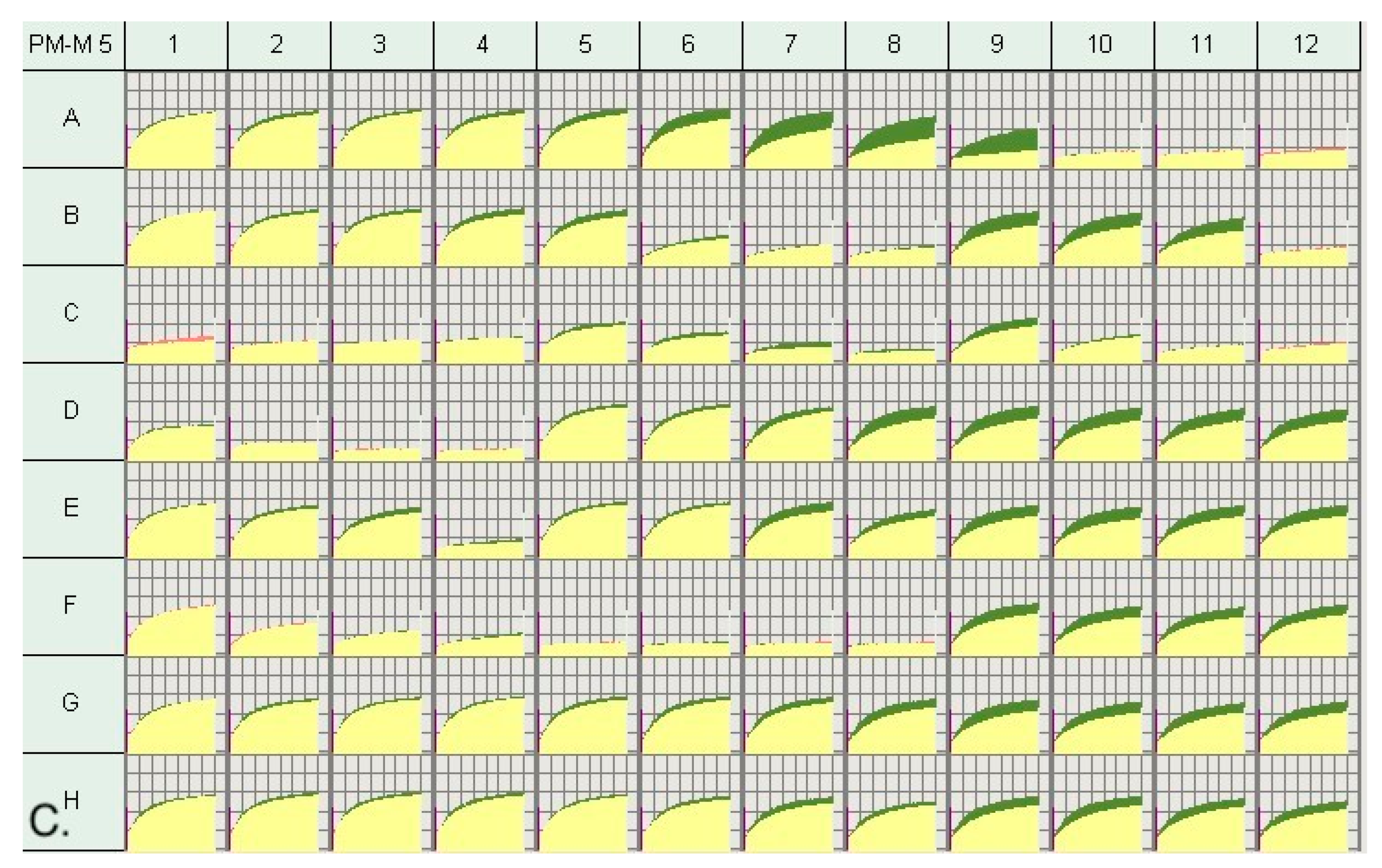 Genes 14 00490 g001b Genes 14 00490 g001b